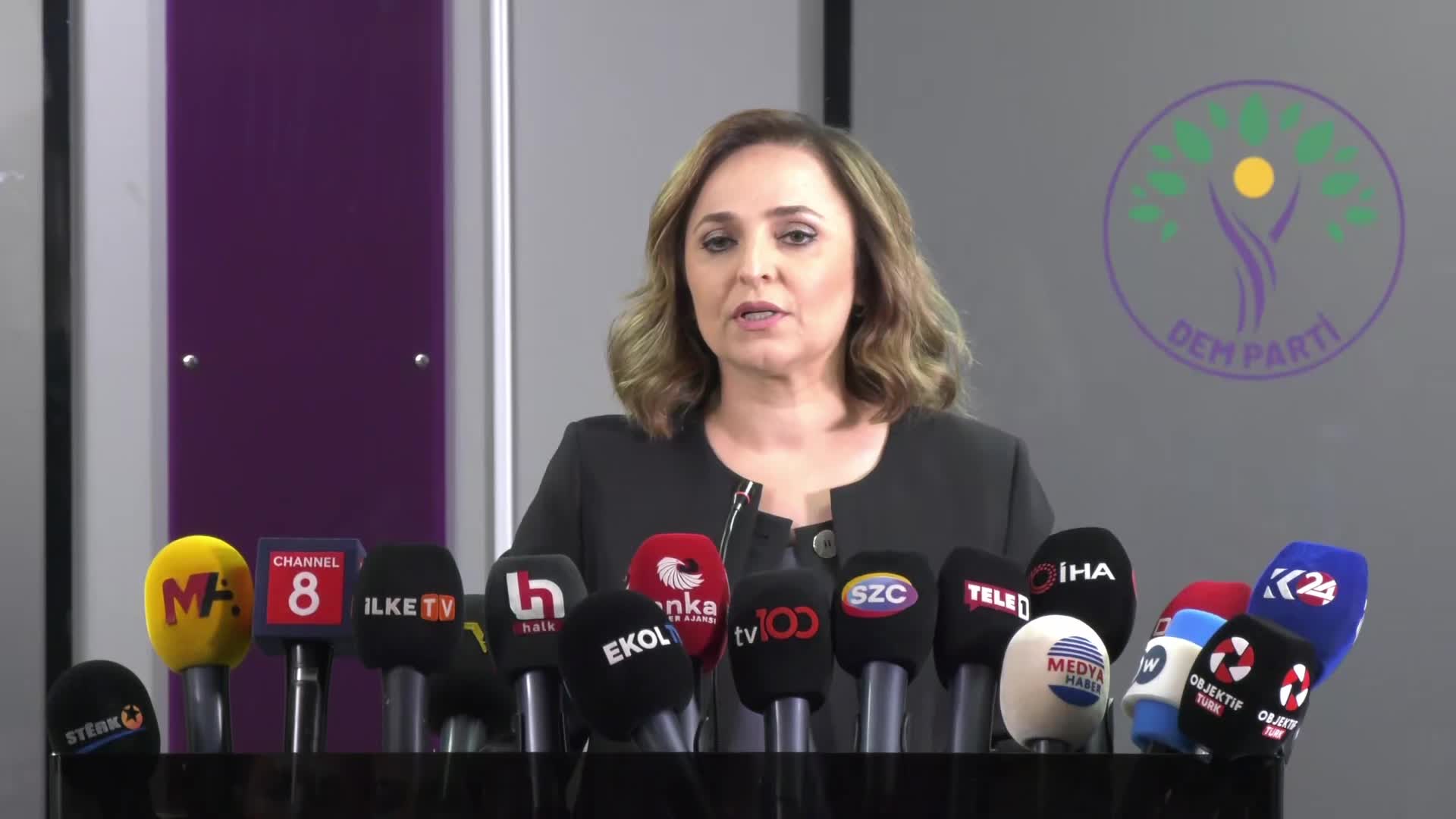 DEM Partili Doğan'dan Sırrı Süreyya Önder'e suikast girişimiyle ilgili soruya yanıt: "Kimler var, ne hedeflendi tartışması, asıl tartışmamız gereken konuları gölgeler"