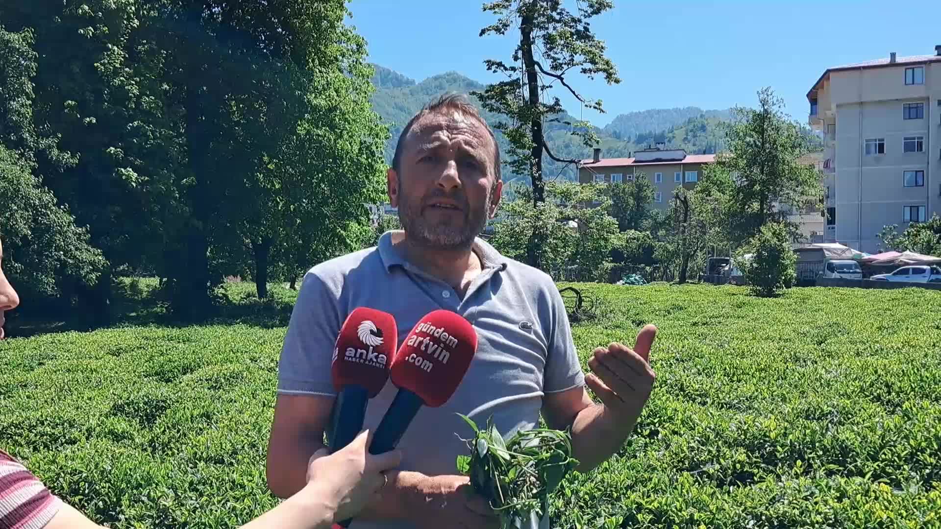 Hopa -Kemalpaşa Ziraat Odası Başkanı Muti: “Yaş çay taban fiyatının 35 lira artı 5 lira destekleme primi olarak belirlenmesini talep ediyoruz”