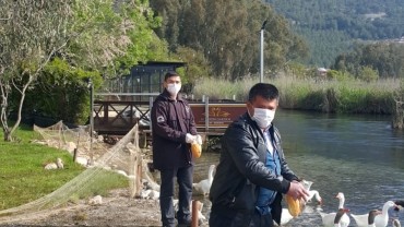 LOKANTALAR KAPANDI, AZMAK'IN SEMBOLÜ ÖRDEKLER AÇ KALDI