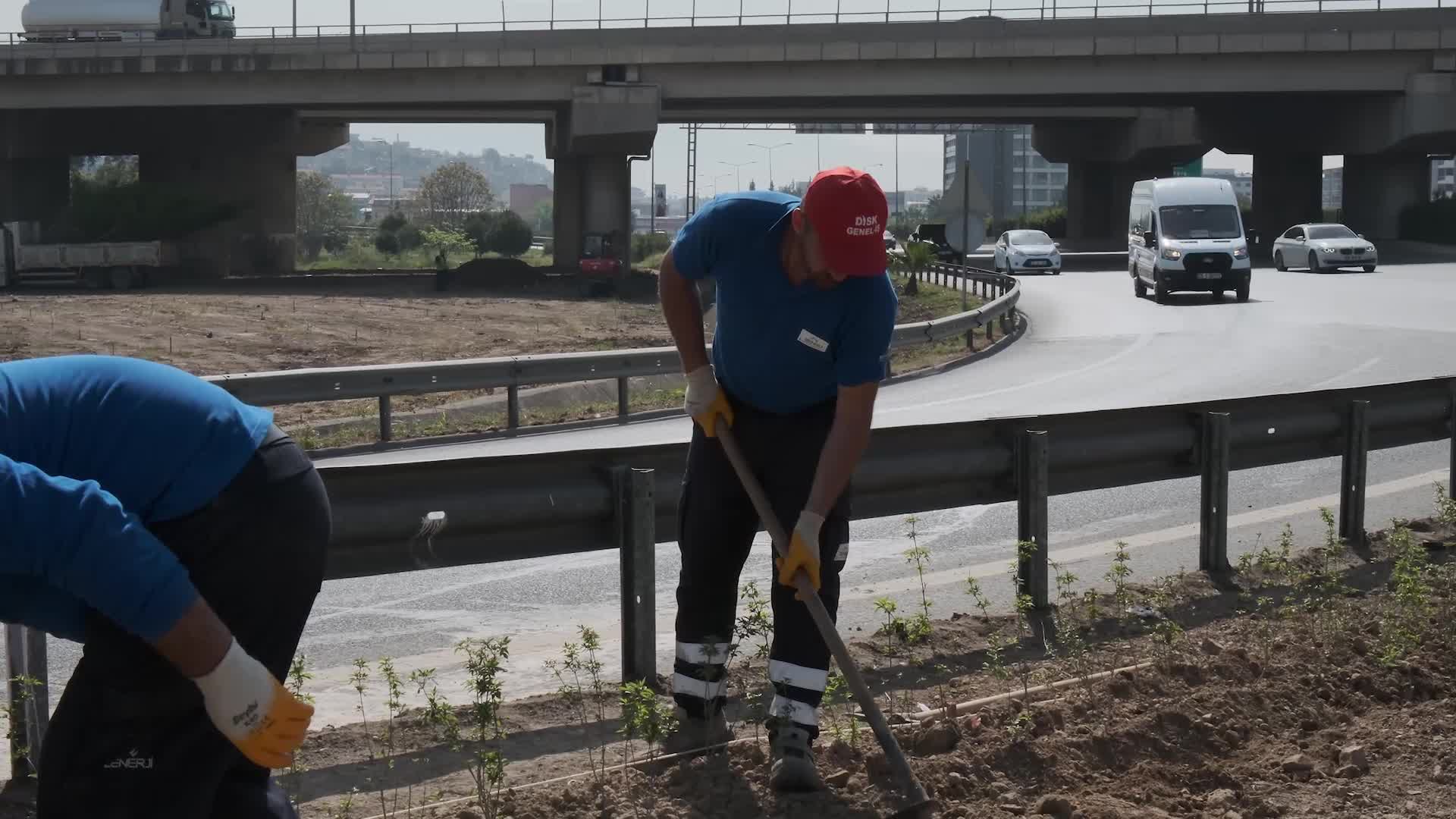 İzmir Büyükşehir Belediyesi’nden karayolu kavşaklarında ağaçlandırma seferberliği