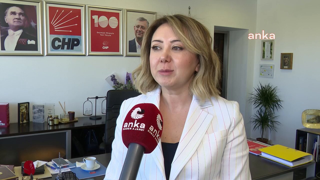 Esila Ayık için tahliye kararı... CHP'li Çiftci: "Esila Ayık ve arkadaşlarının tahliyesi sevindirici ancak tutukluluk gerekçesi adalet adına utanç vericidir"