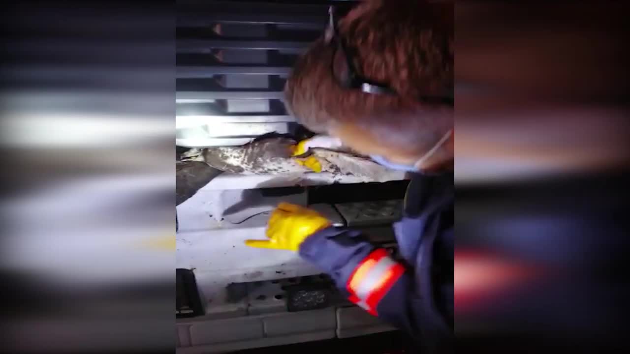 ANTALYA BÜYÜKŞEHİR’DEN İLAÇLAMA PERSONELİNE EĞİTİM