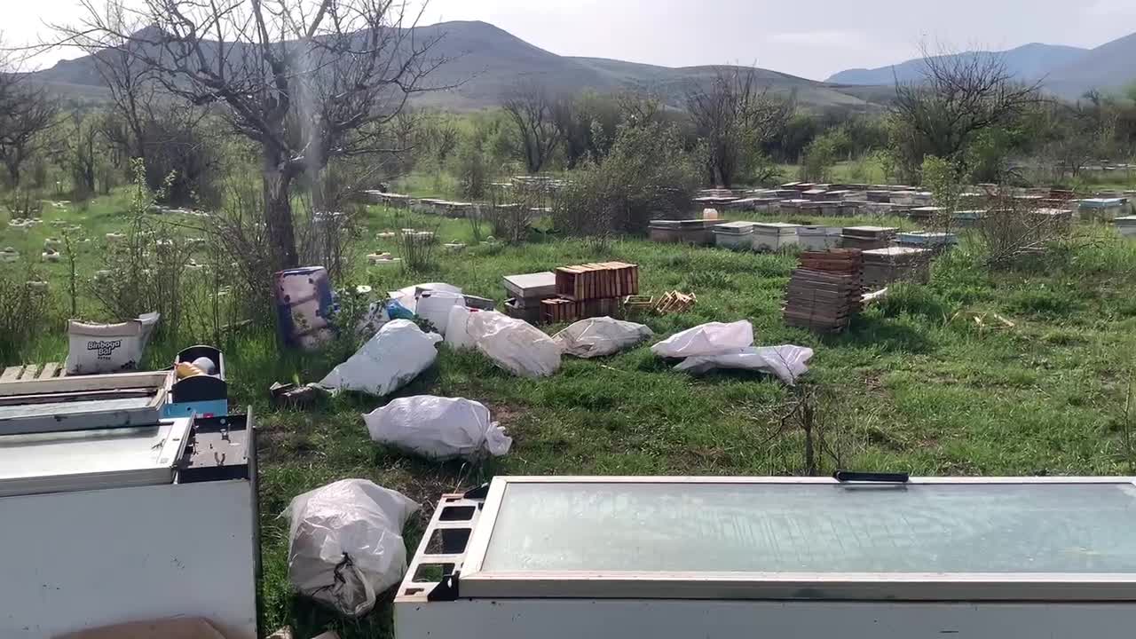 20 Mayıs Dünya Arı Günü... CHP’li Gürer: "Sahte bal piyasada cirit atıyor"