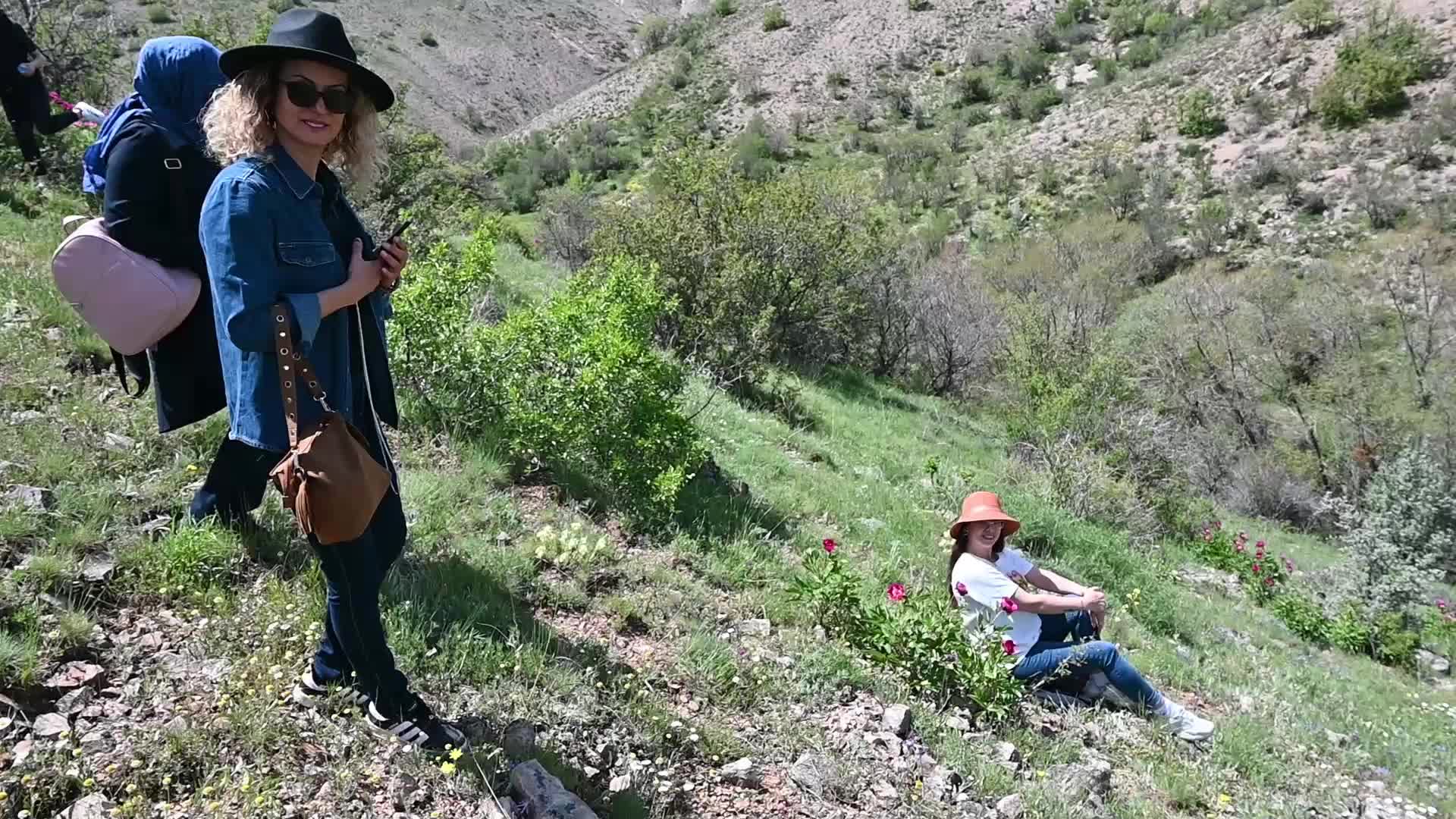 Yozgat’ın endemik güzelliği "Cehrilik lalesi" koruma bekliyor