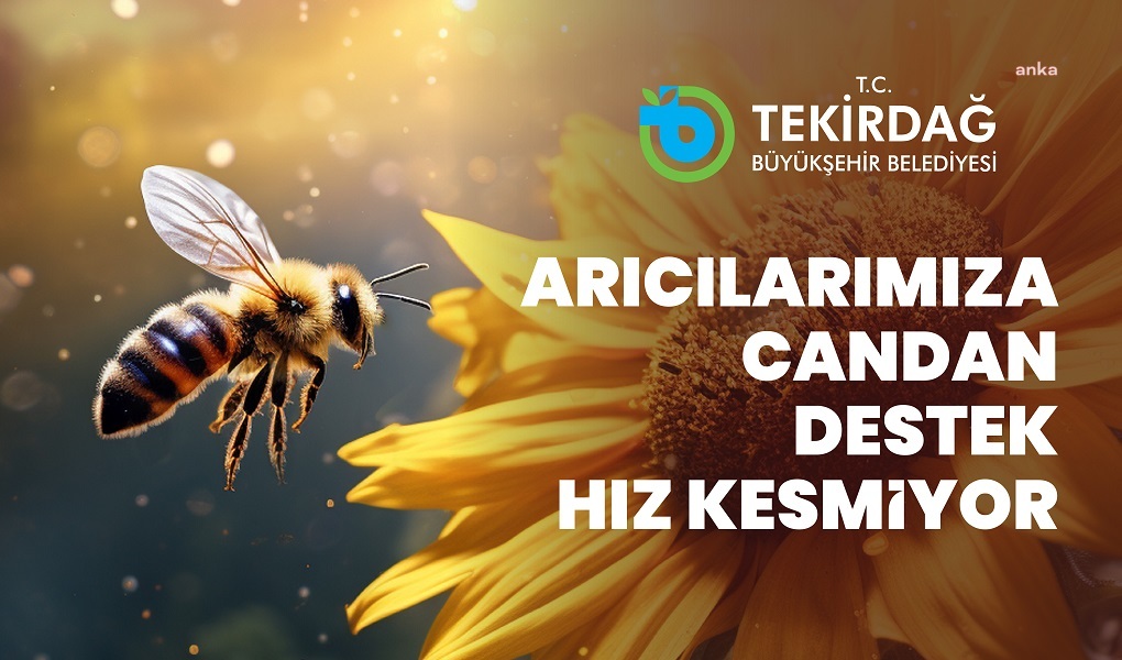 Tekirdağ Büyükşehir Belediyesi’nin “Arı Yaşam Gücü Projesi” için başvurular başladı