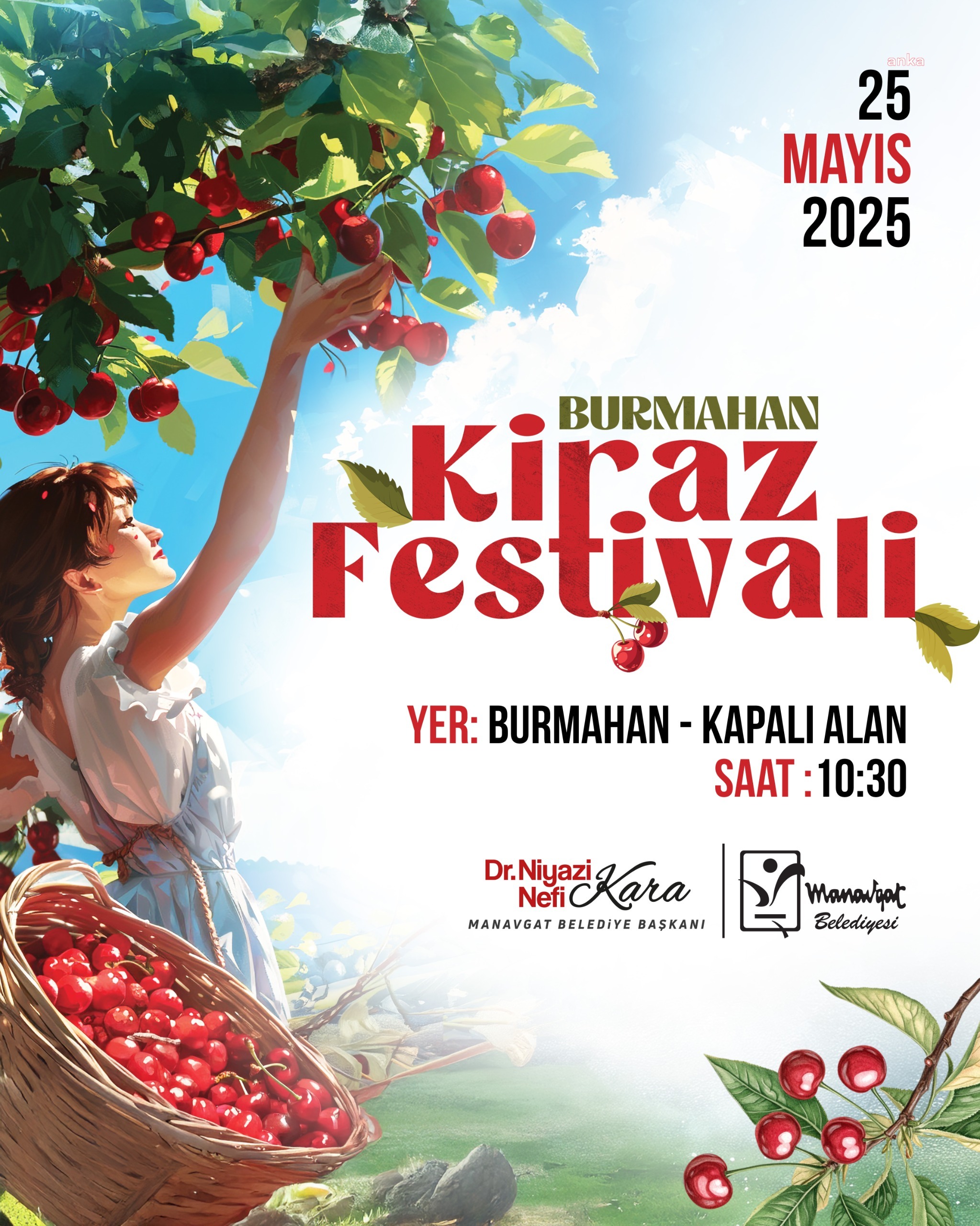Manavgat'ta bir ilk: “Burmahan Kiraz Festivali” coşkusu başlıyor