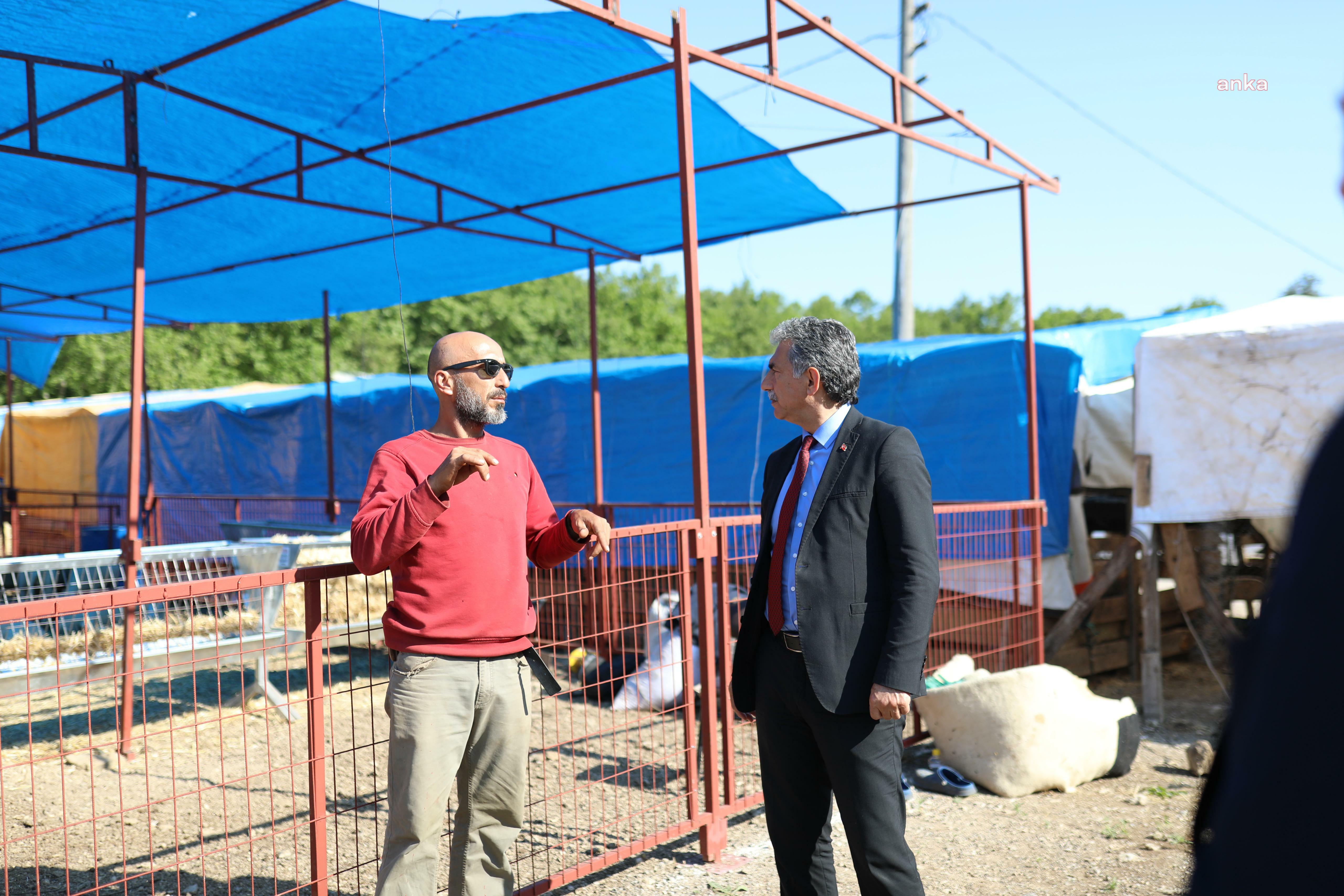 Gemlik Belediyesi'nin kurban pazarında satışlar başladı