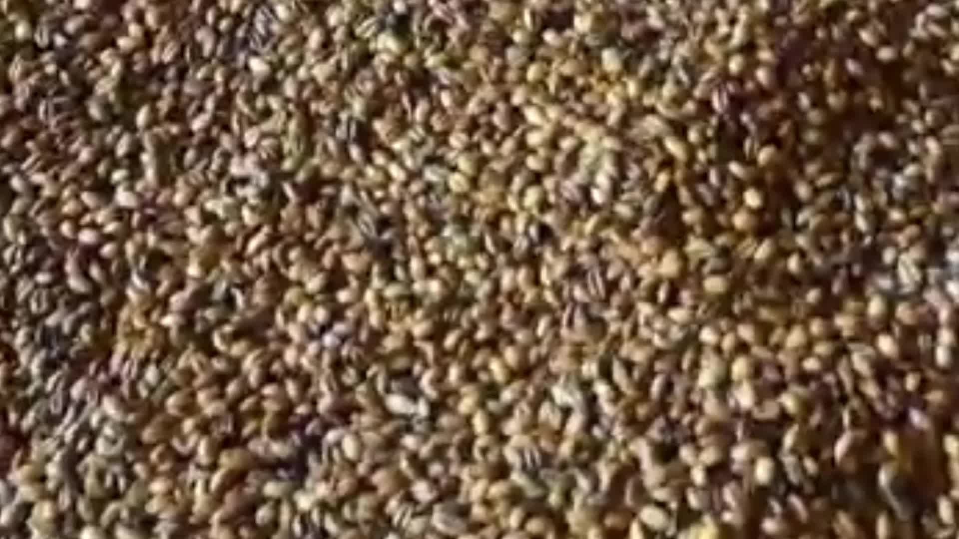 Yozgatlı kadınlar ürettikleri ürünleri işleyip, pazara sunuyor
