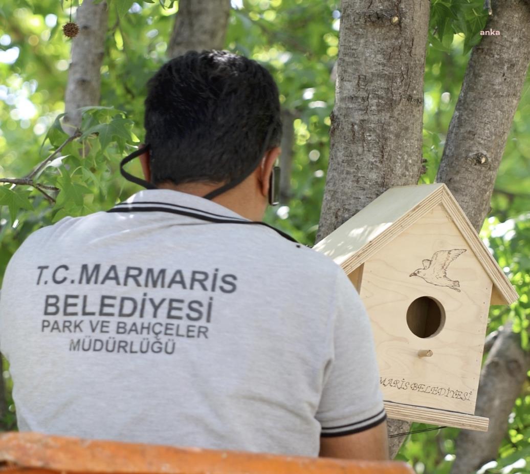 Marmaris Belediyesi'nden doğa dostu proje: Kuş evleri