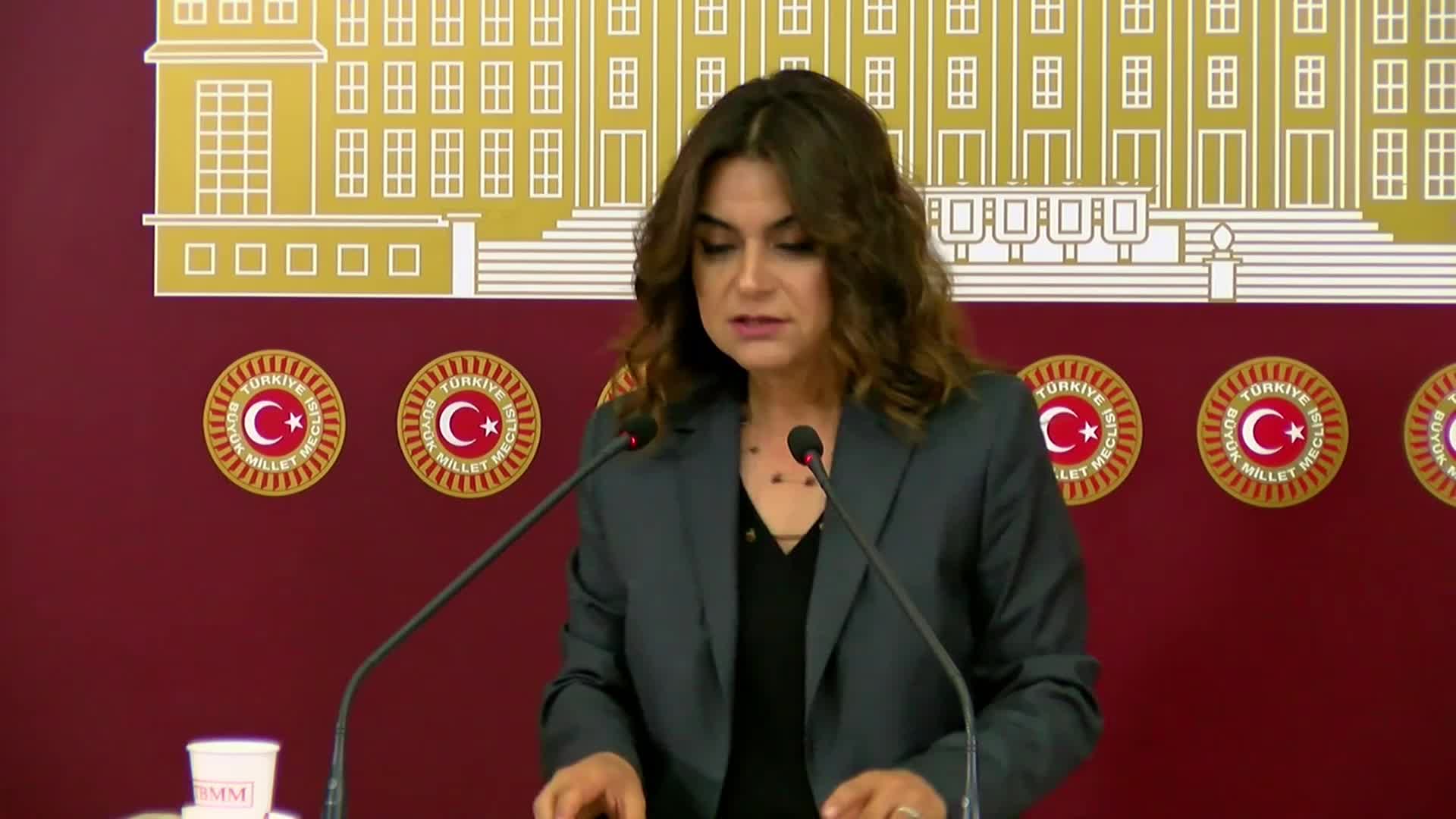 DEM Partili Koçyiğit'ten infaz paketi açıklaması: Teklif bugün ya da yarın imzaya açılır, haftaya Genel Kurul gündemine gelir ve hızlı bir şekilde bayramdan önce yasalaşır diye bekliyoruz