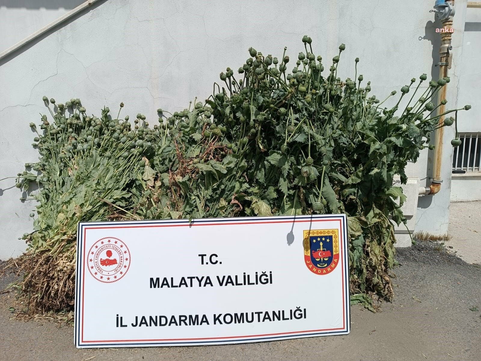 Malatya’da uyuşturucu operasyonunda 12 kişiye işlem yapıldı, aranan 18 şüpheli yakalandı