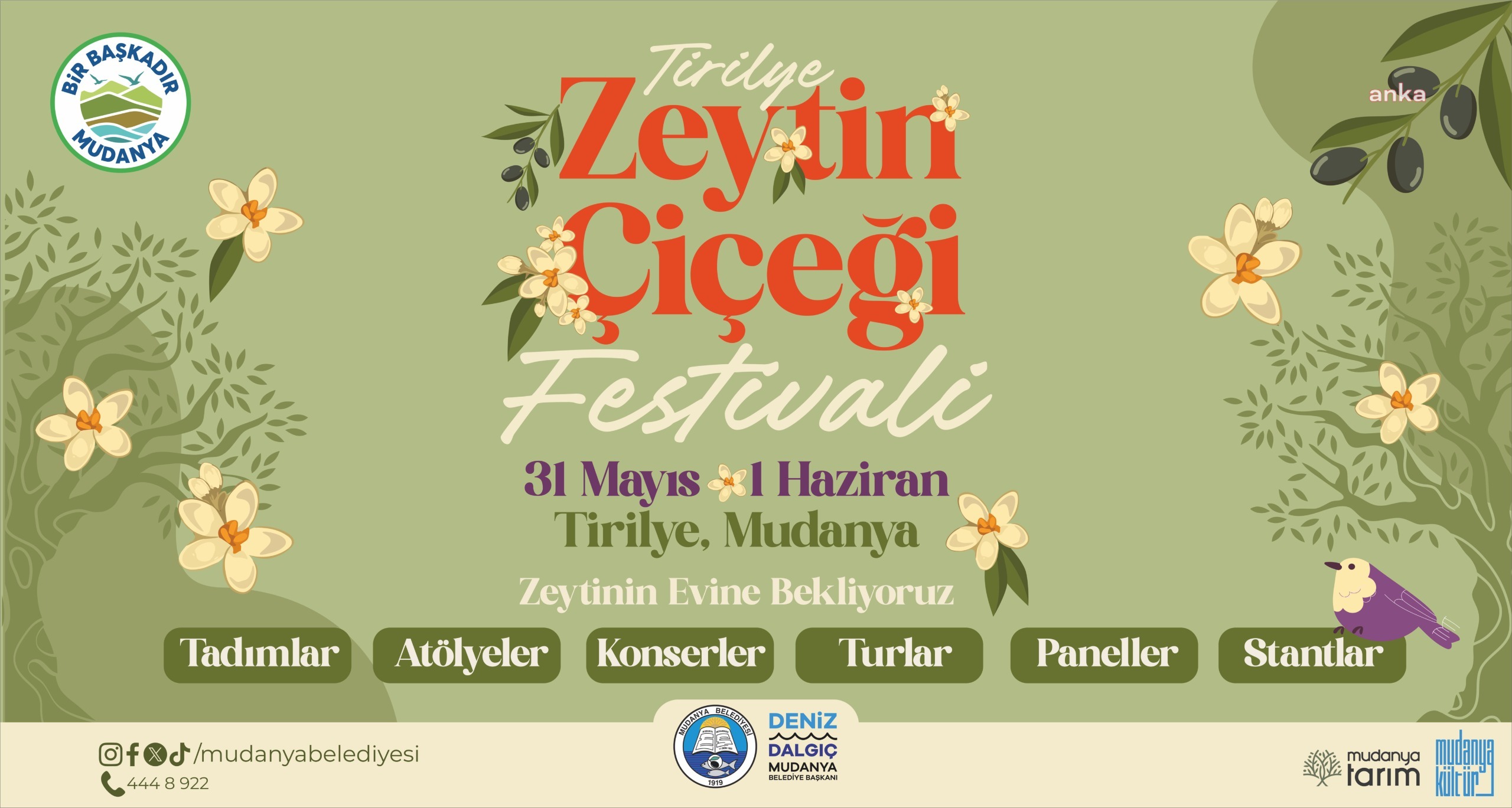 Tirilye’de Zeytin Çiçeği Festivali coşkusu