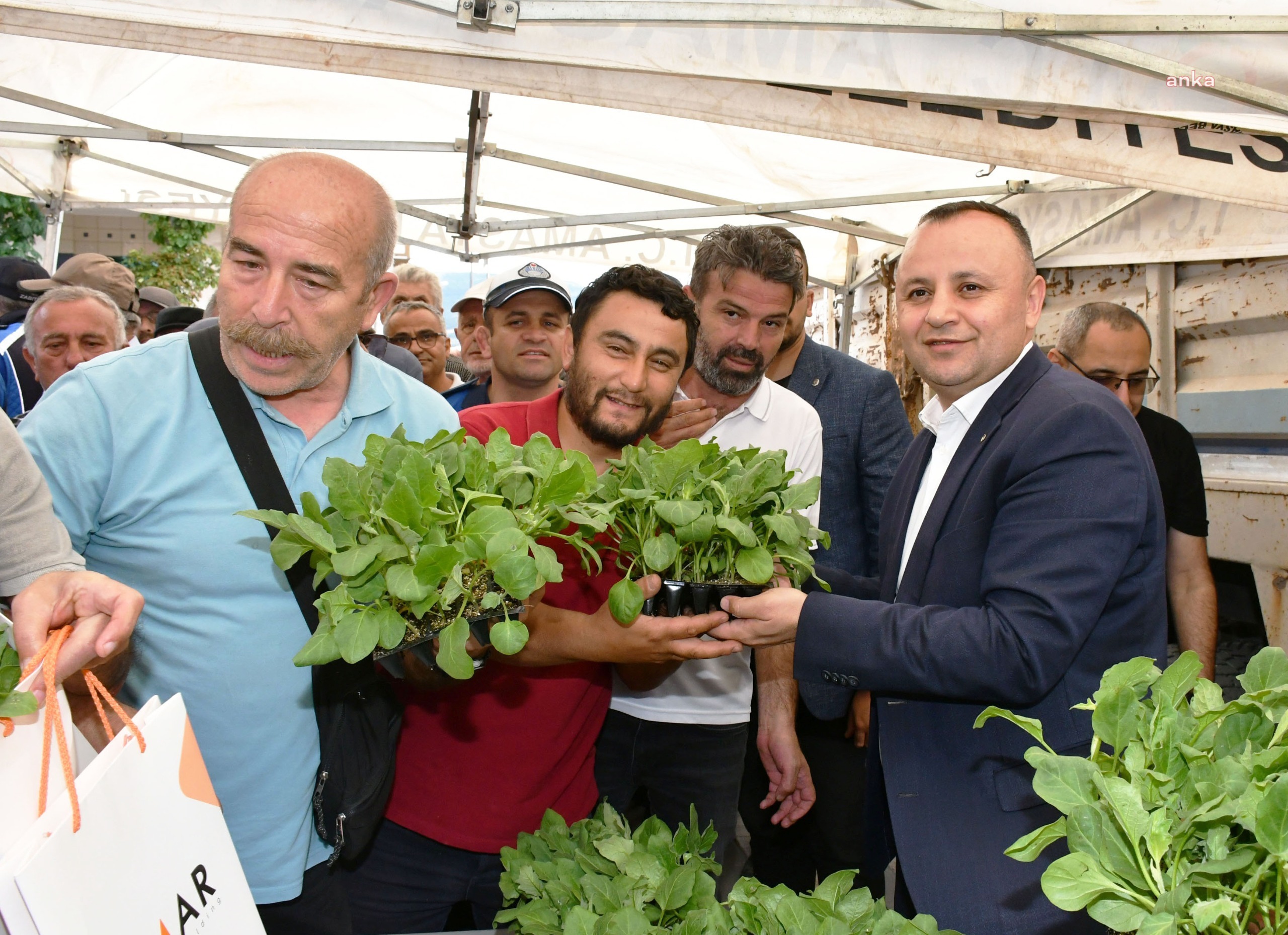 İBB’den Amasya'ya 42 bin fide desteği