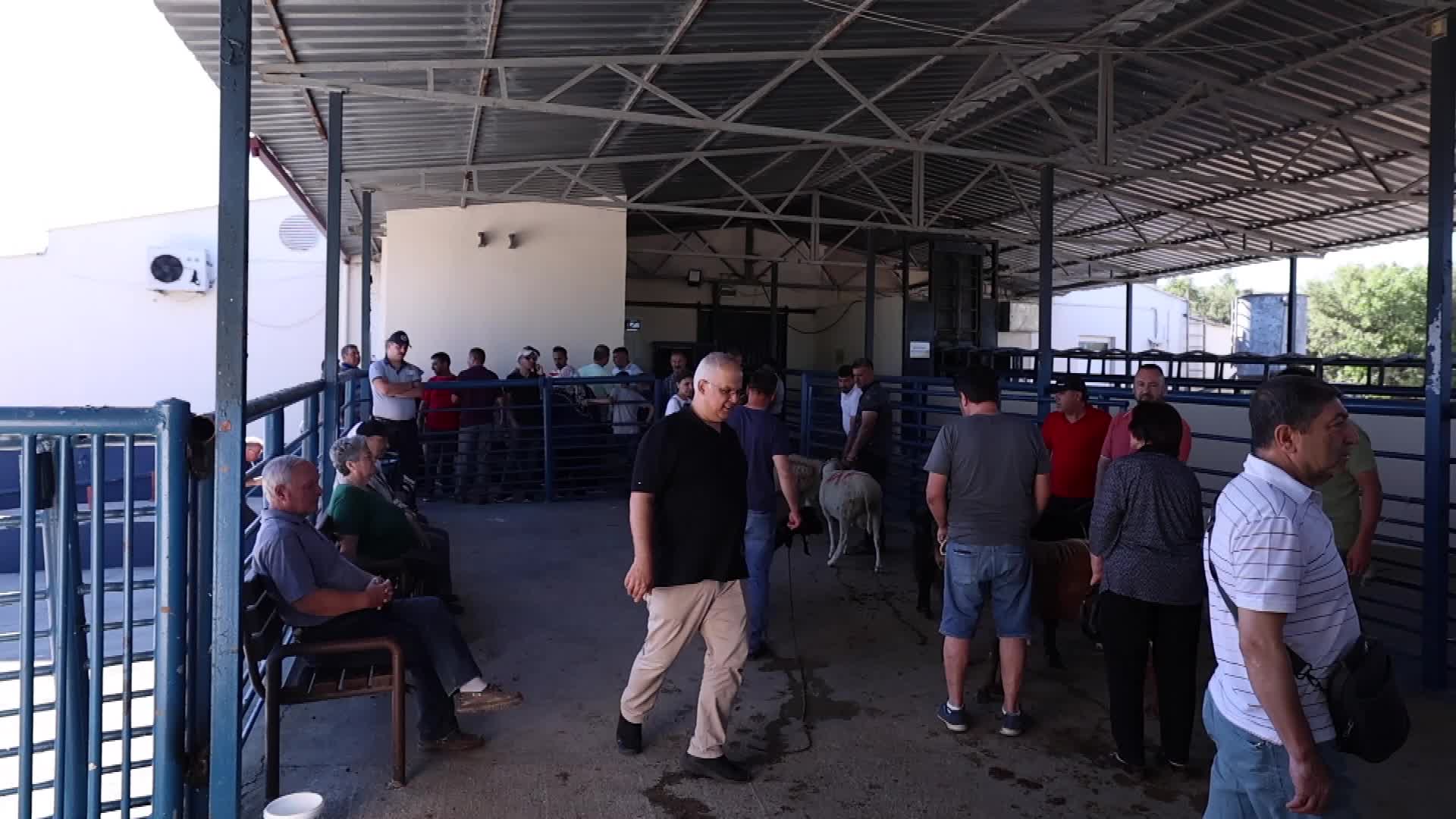 Muğla Büyükşehir Belediyesi, Kurban Bayramı hazırlıklarını tamamladı