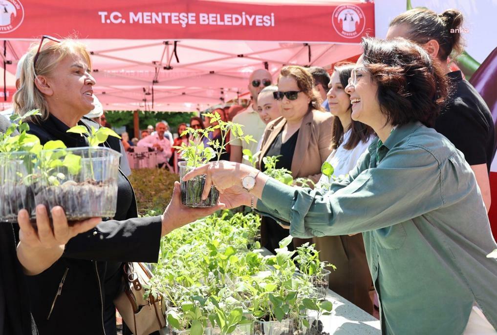 Menteşe Belediyesi’nden 60 bin ata tohumu fidesi
