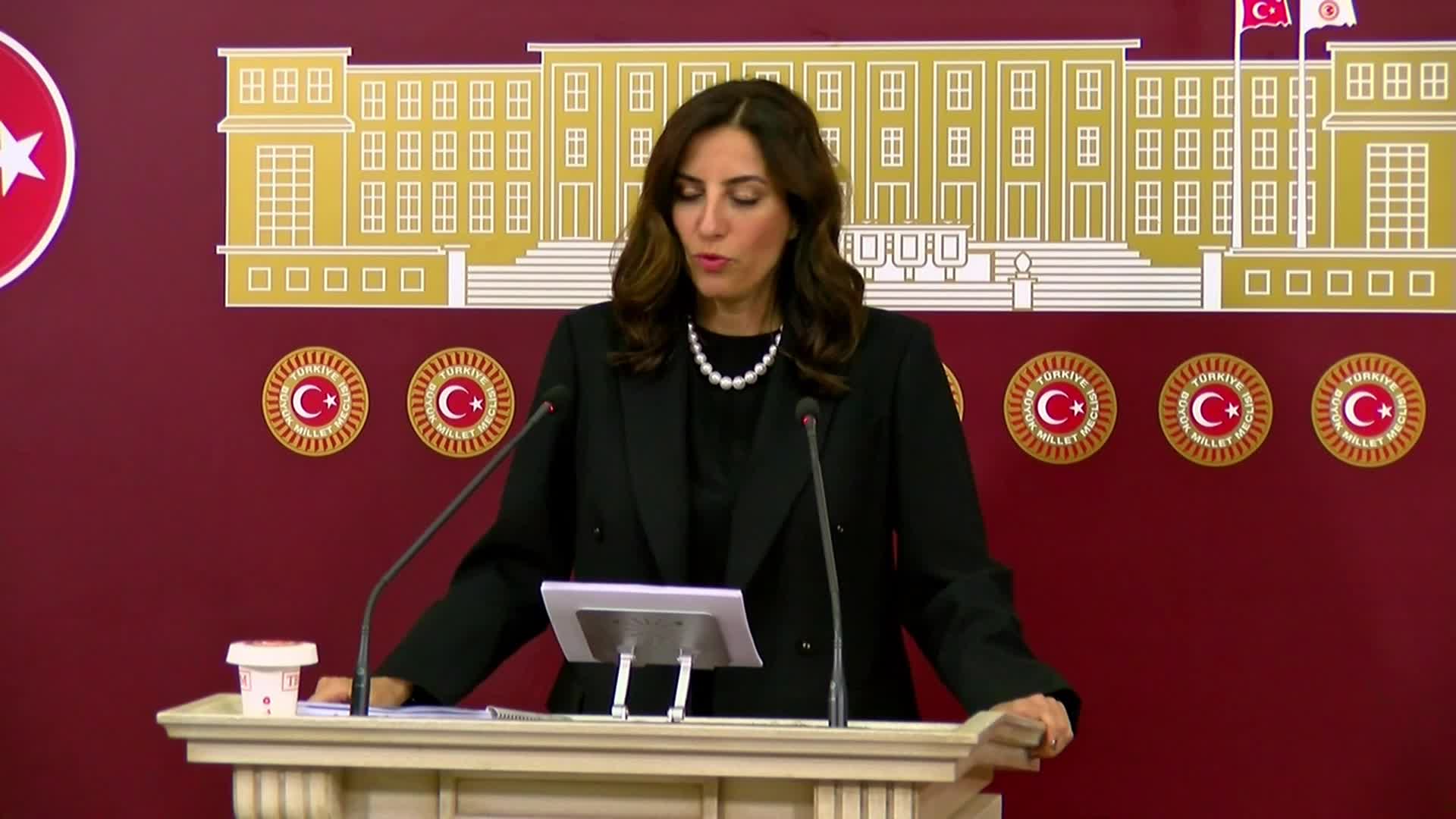 DEVA Partili Rızvanoğlu'ndan iktidara yangın uçağı tepkisi: Halkın vergileriyle alınmış bir kapasite bilinçli olarak devre dışı bırakılıyor