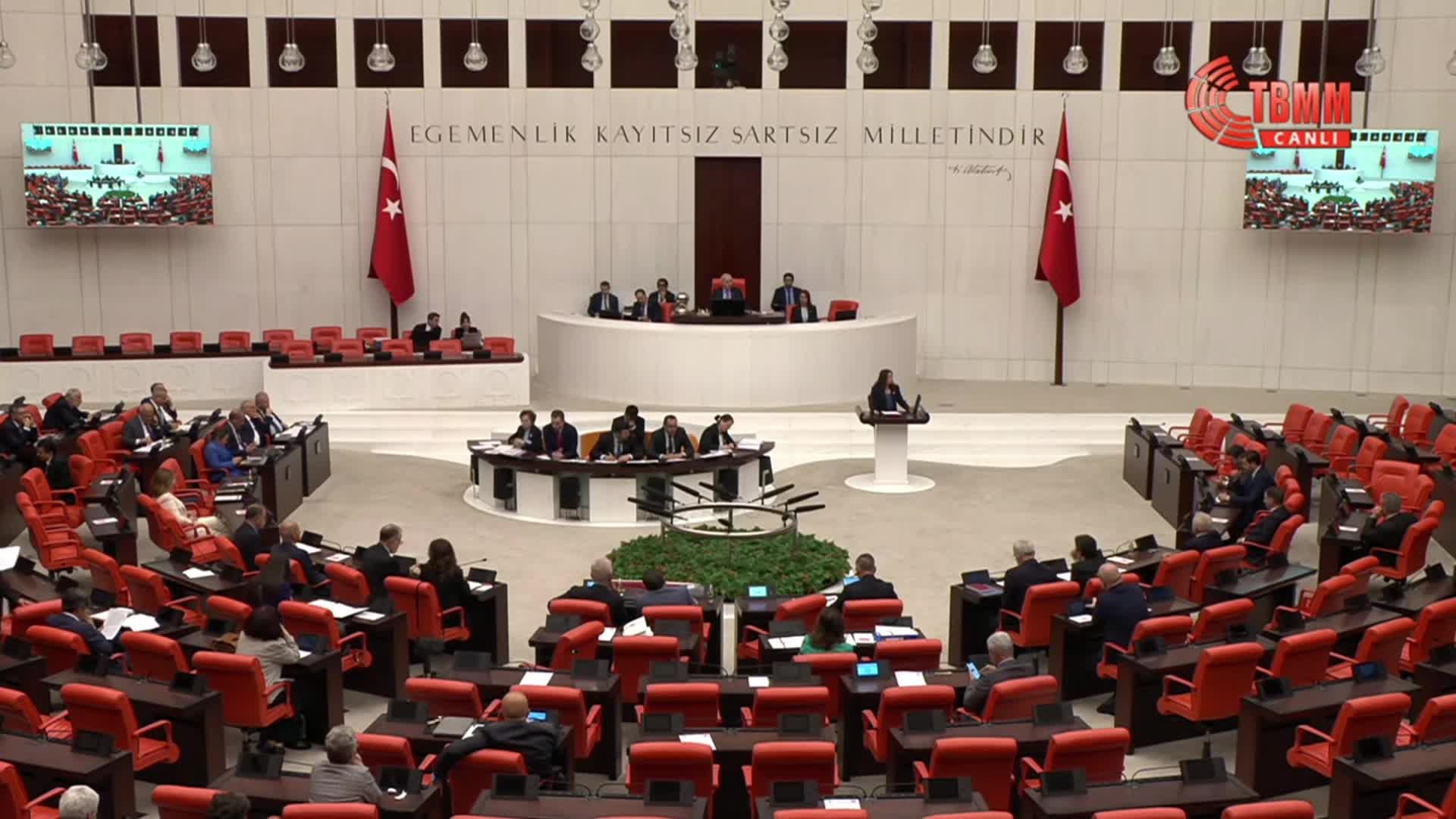 TBMM Genel Kurulu... CHP'li Bankoğlu: "Otoriterlik öyle bir noktaya geldi ki insanın nerede yürüyüp nerede duracağına da bu otoriter zihniyet karar vermek istiyor"