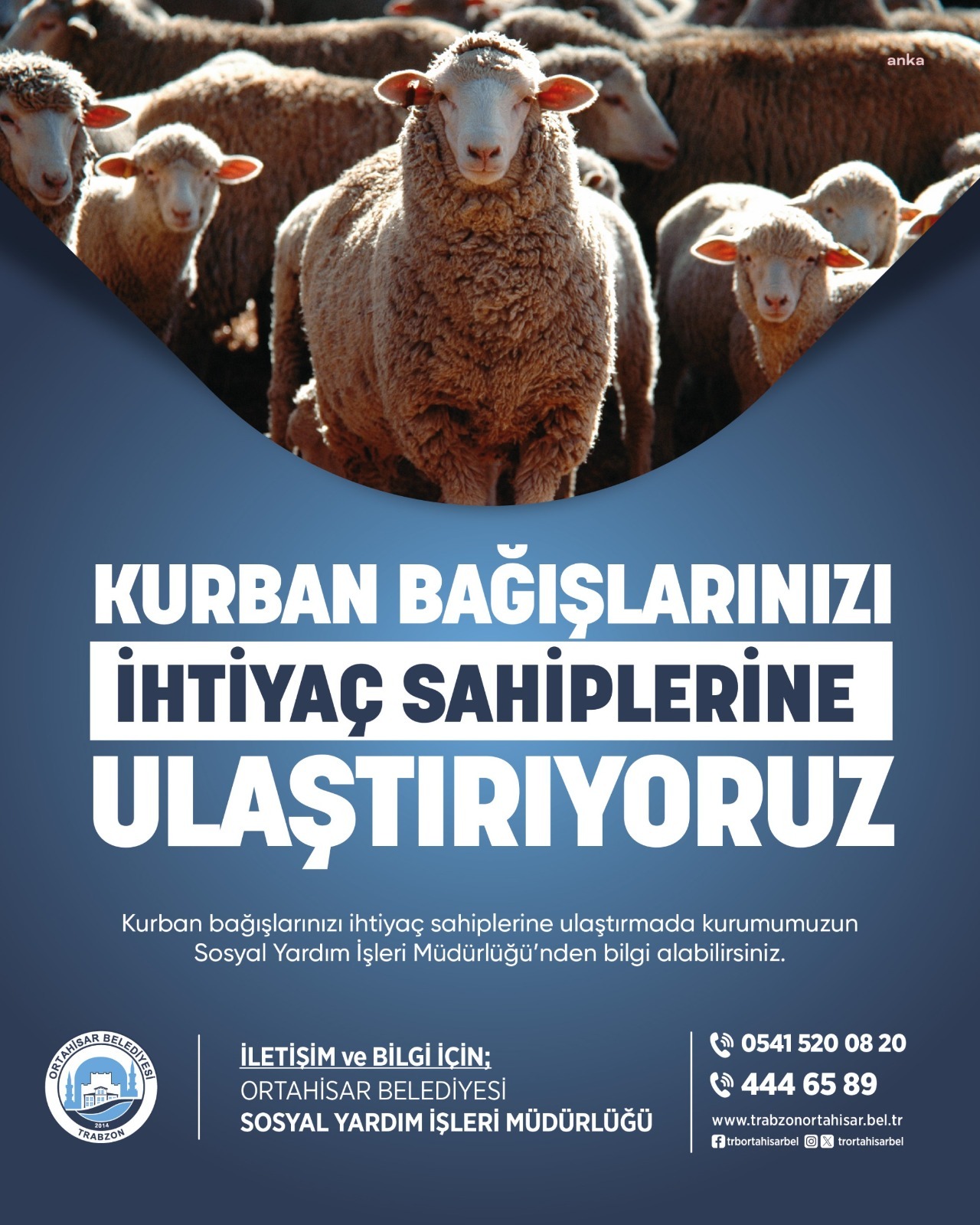 Ortahisar Belediyesi, kurban etlerini ihtiyaç sahiplerine ulaştıracak