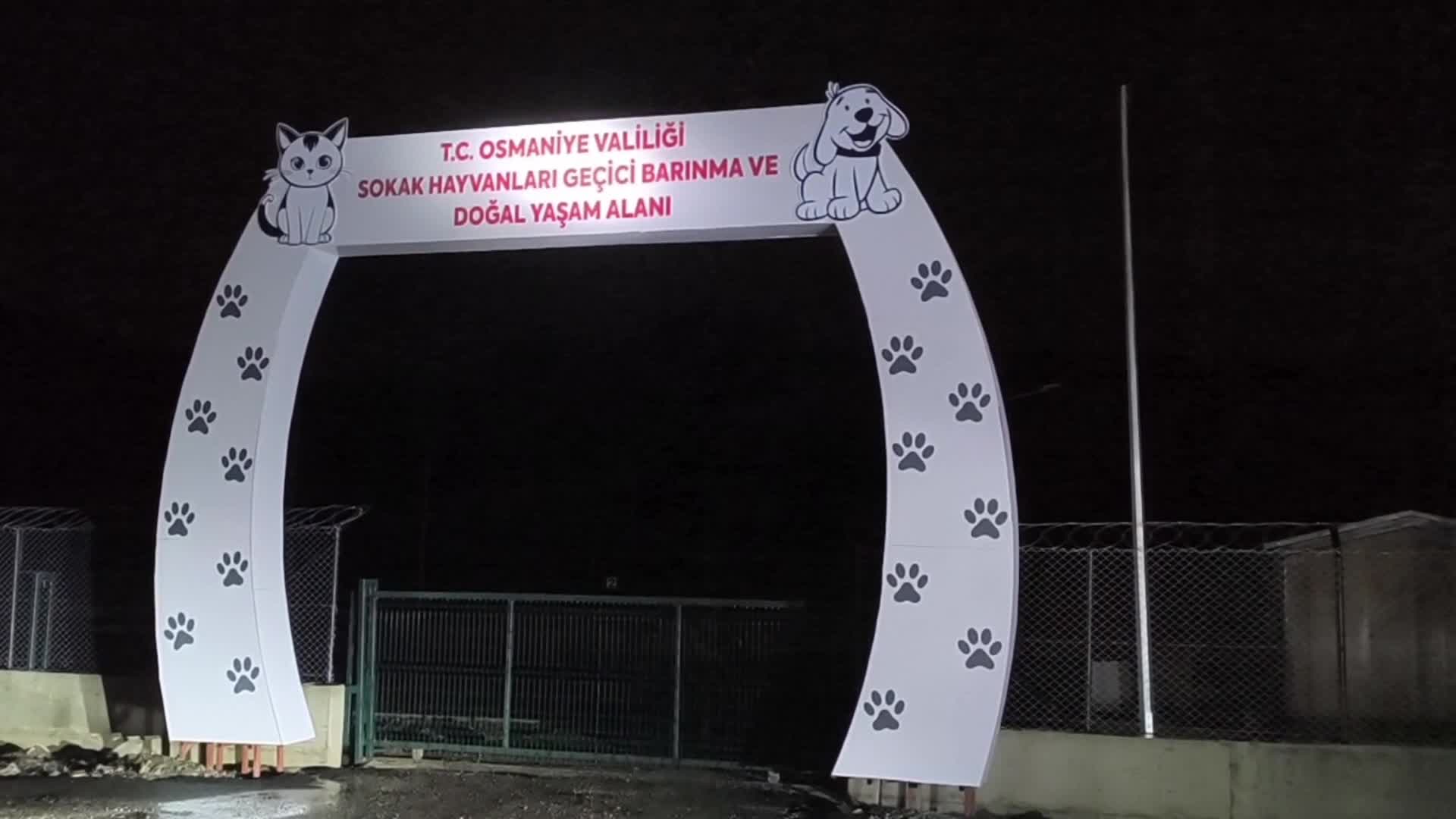 Osmaniye'de yapımı devam eden 'geçici köpek barınağı' sular içerisinde kaldı