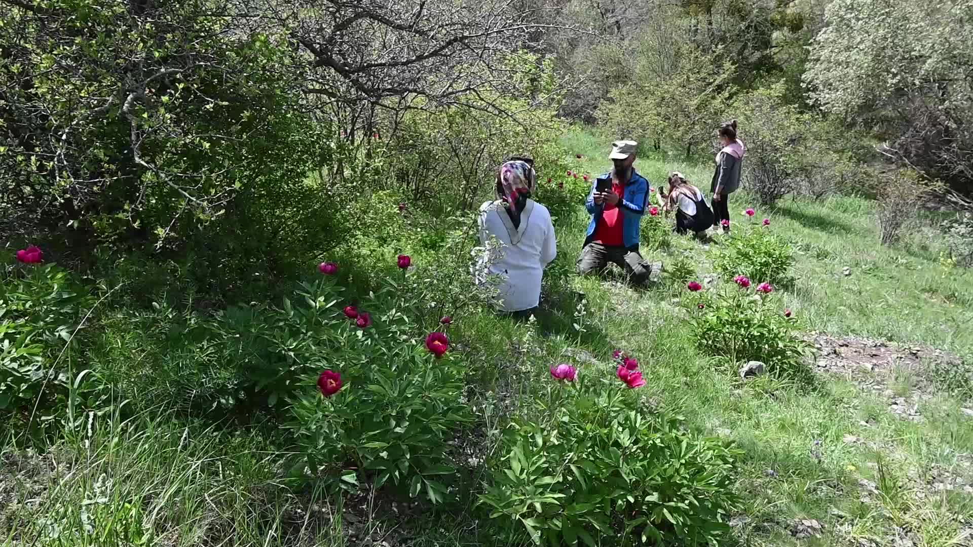 Yozgat’ta endemik Cehrilik lalesine jandarma sahip çıktı