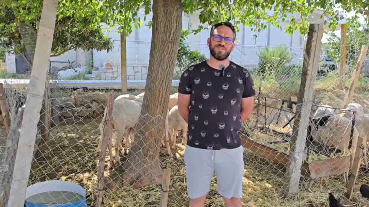 Aydın'da hayvancılık yapan Akçay: "Hiç bu sene kadar zor bir sene olmadı"