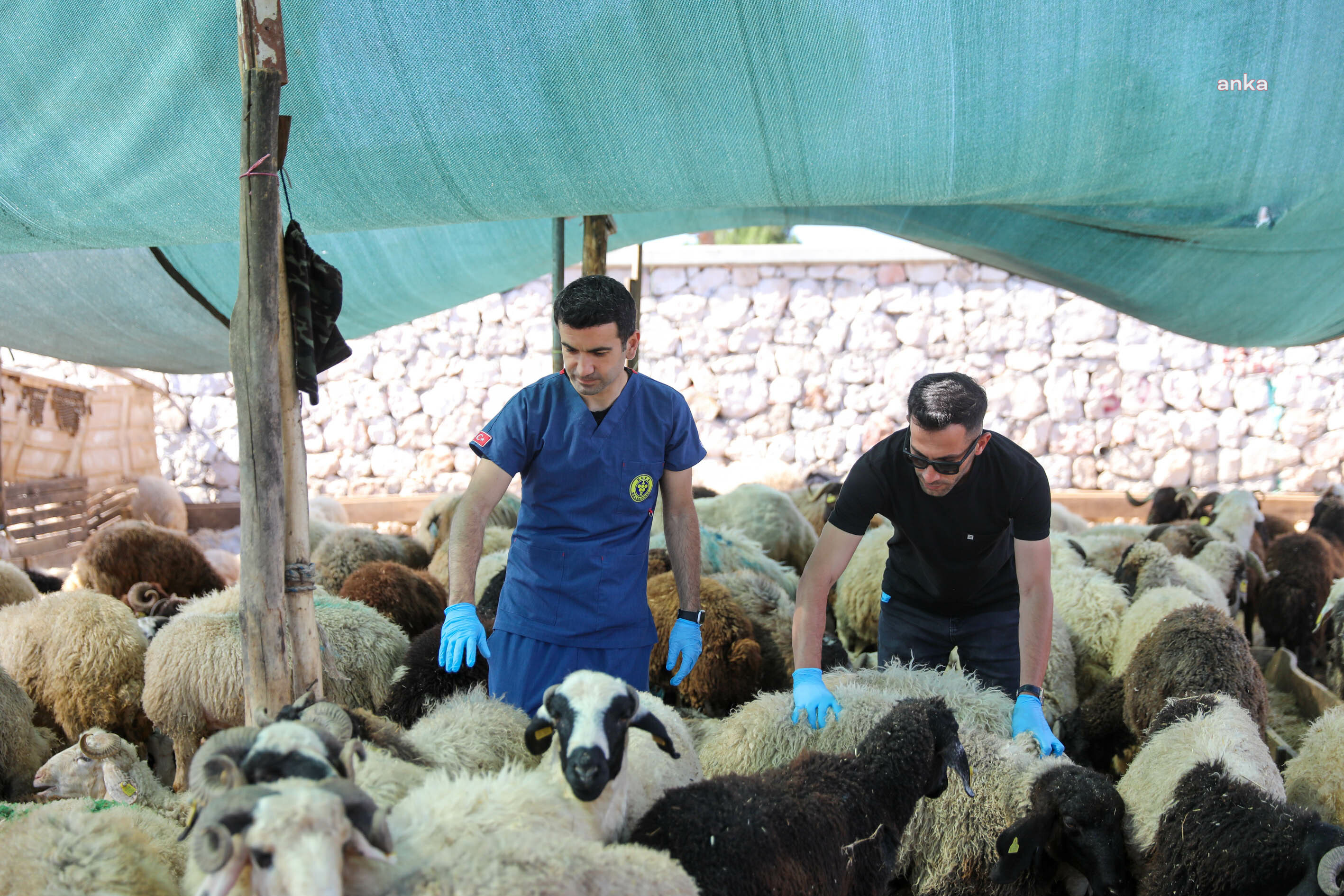 Buca’da Kurban Bayramı öncesi sıkı denetim