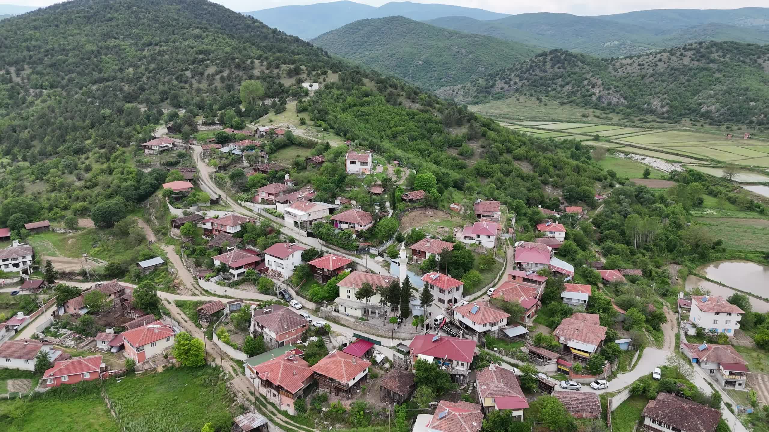 YEDAŞ’tan Sinop’taki leyleklere güvenli yuva