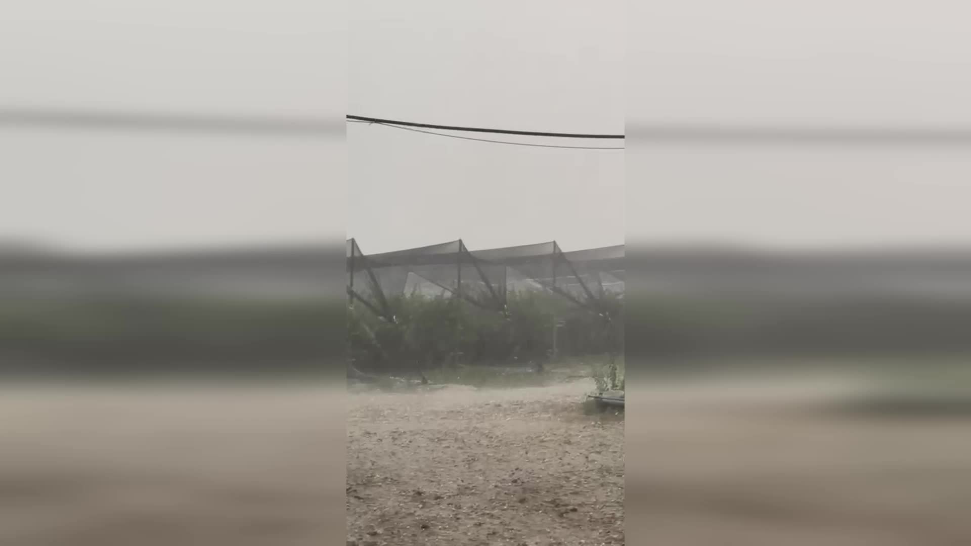 Antalya'daki dolu felaketinden etkilenen genç üretici, yetkililere seslendi: "Harap olmuş çiftçilerin sesini duyun, size yalvarıyorum"