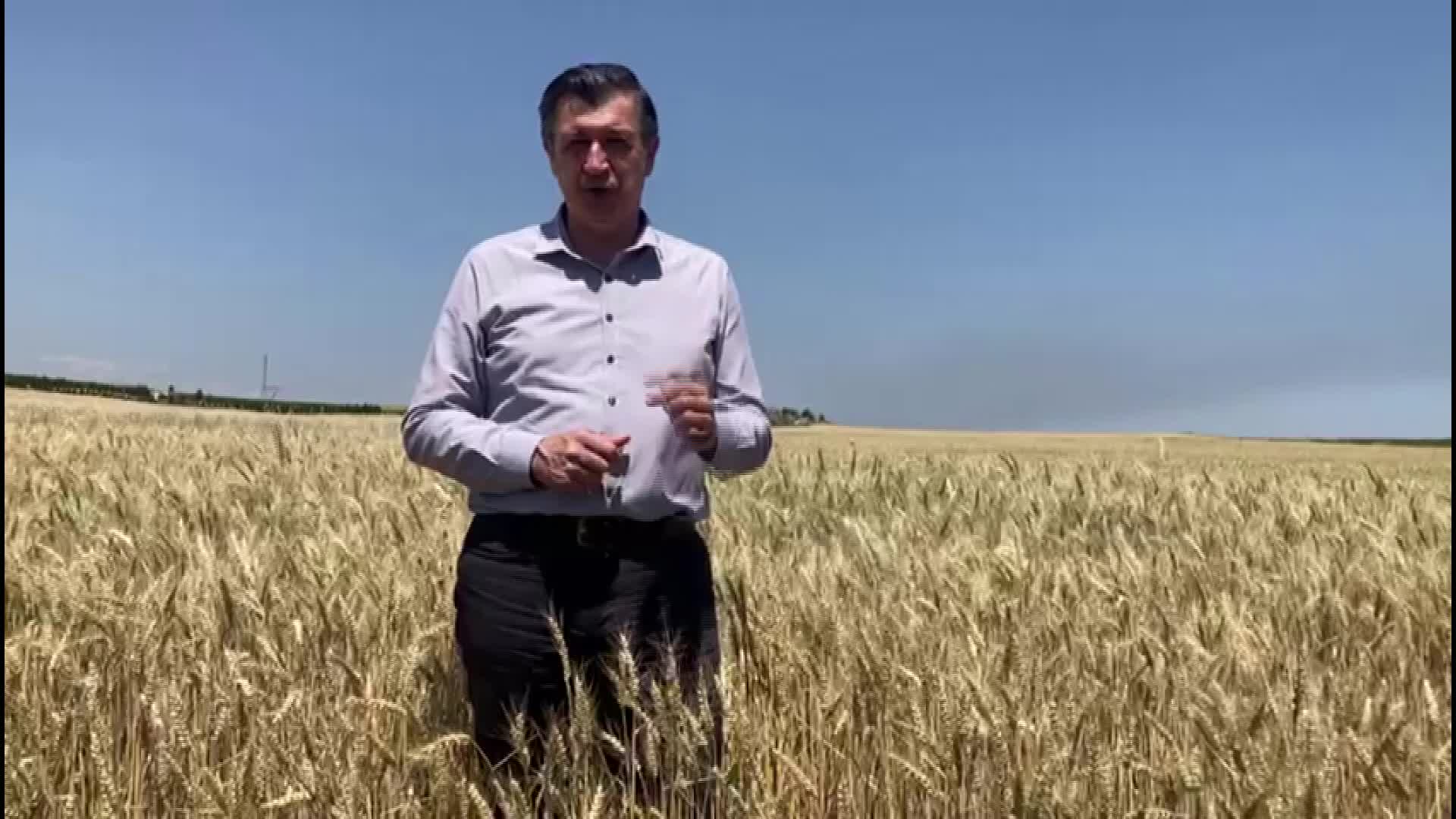 Prof. Dr. Gaytancıoğlu’dan buğday fiyatına tepki: “Üretimin devamını sağlayacak bir fiyat değil”