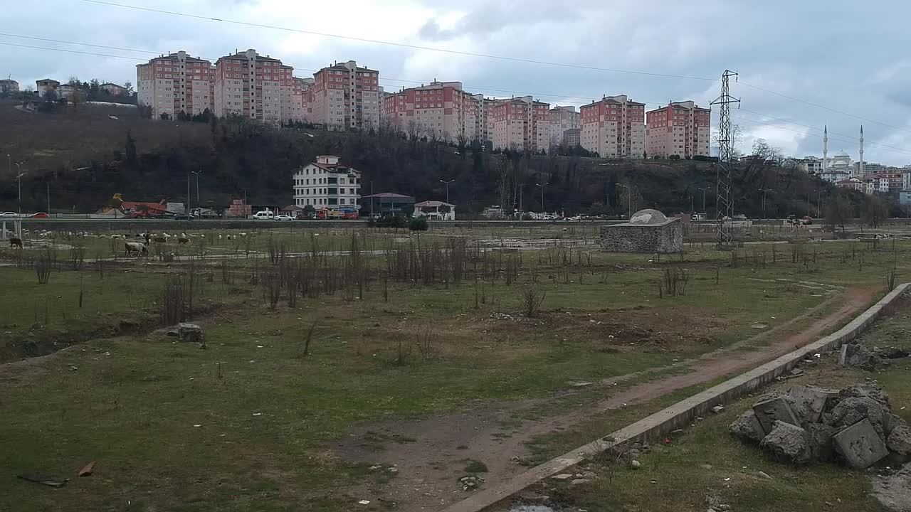 ORDU'DA 15 MİLYON TL'YE İNŞA EDİLEN BOTANİK PARK, 'ŞEHİR HASTANESİ YAPILACAK' DİYE YIKILDI: 3 YILDIR ARAZİDE HAYVANLAR OTLUYOR