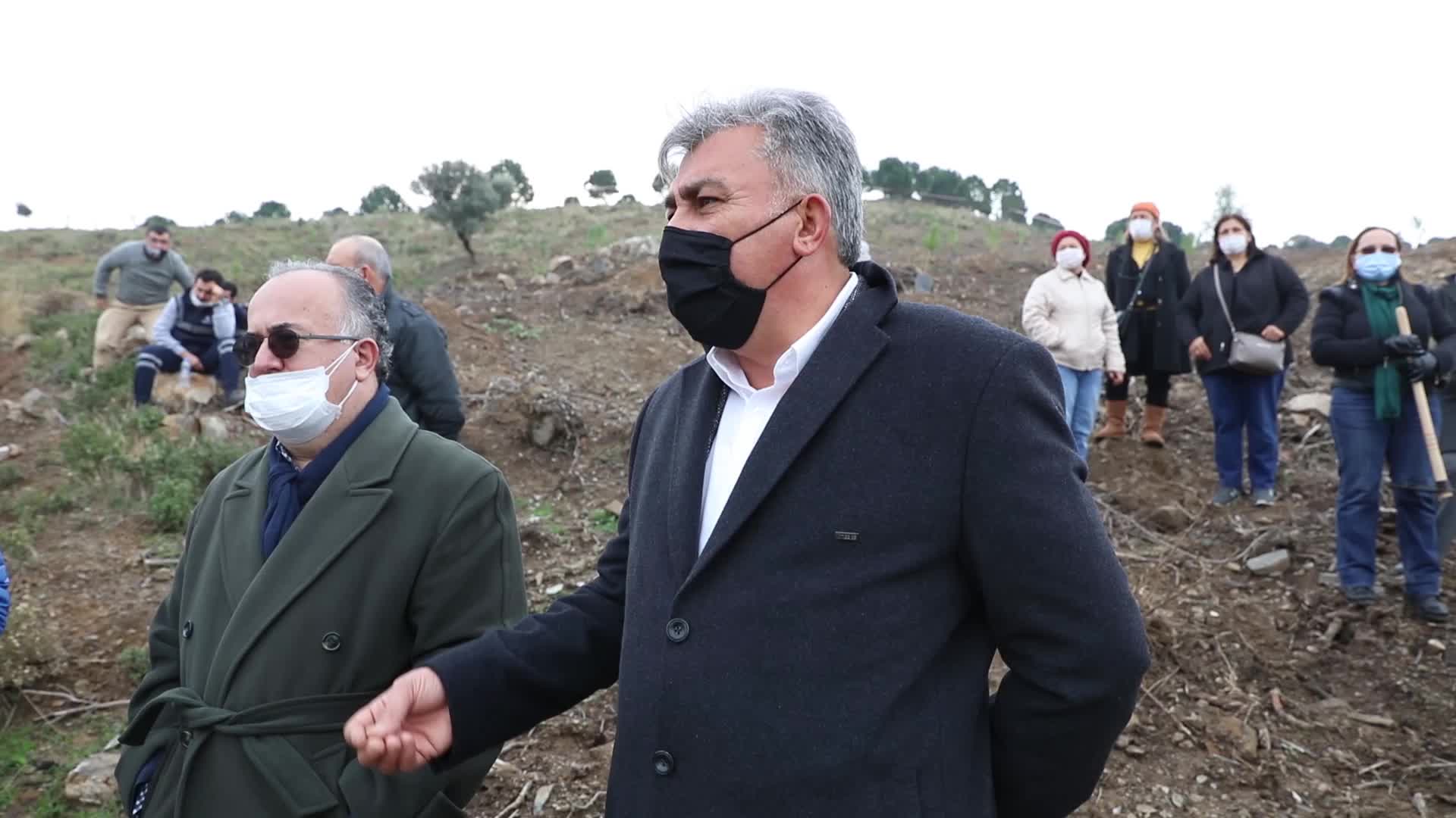 GÜZELBAHÇE'DE 500 FISTIK ÇAMI, TOPRAKLA BULUŞTU