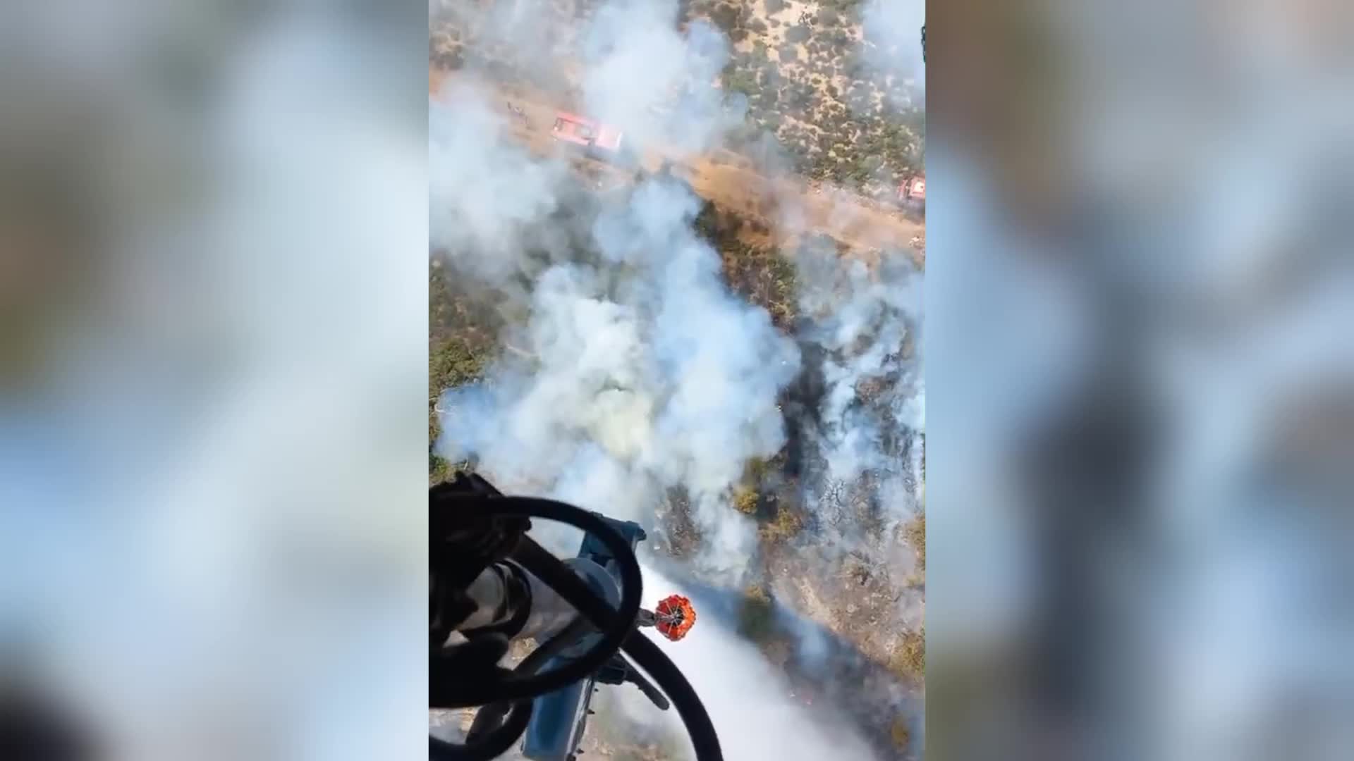 İzmir Foça’daki orman yangının çıkış nedeni belli oldu