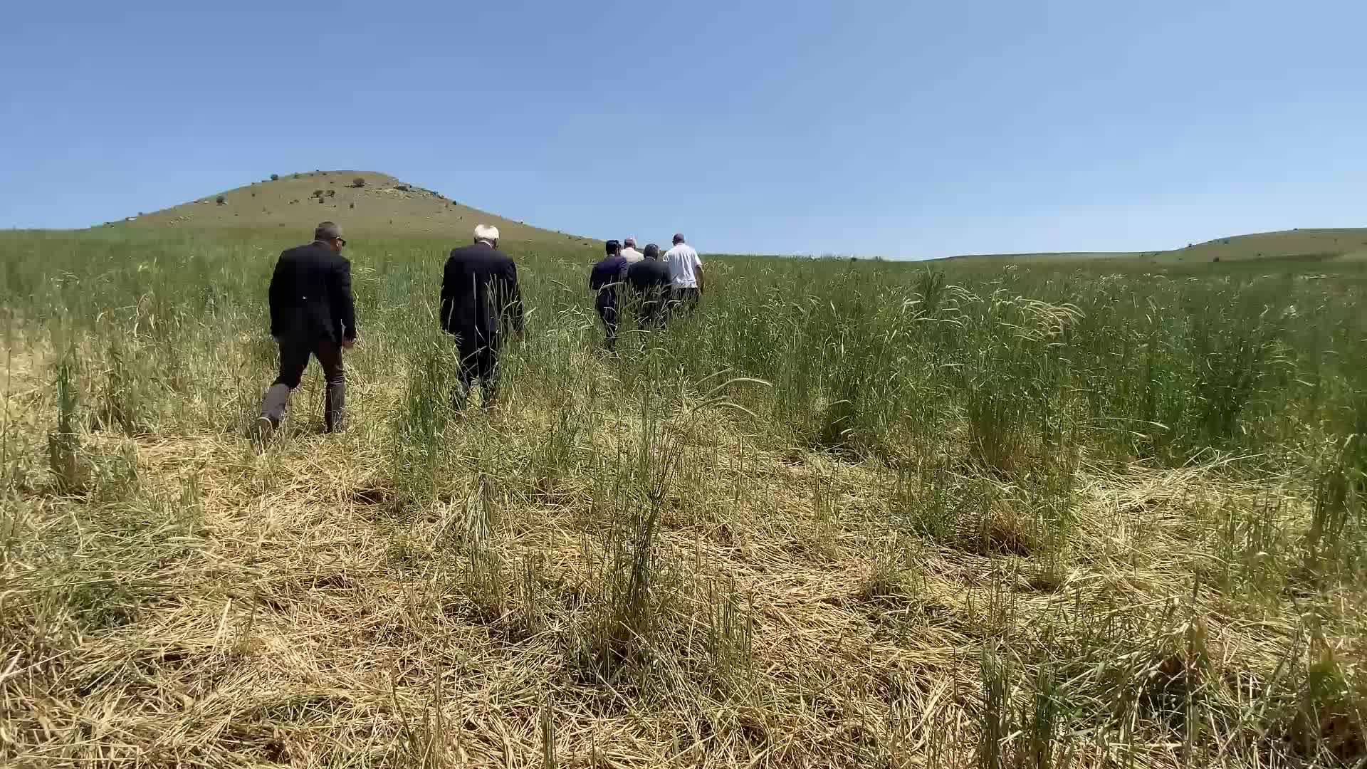 Yozgat çiftçisine darbe üstüne darbe… Kuraklık, dolu, sel nedeniyle ekili alanları zarar gören çiftçiye, bir darbe de fiyattan geldi