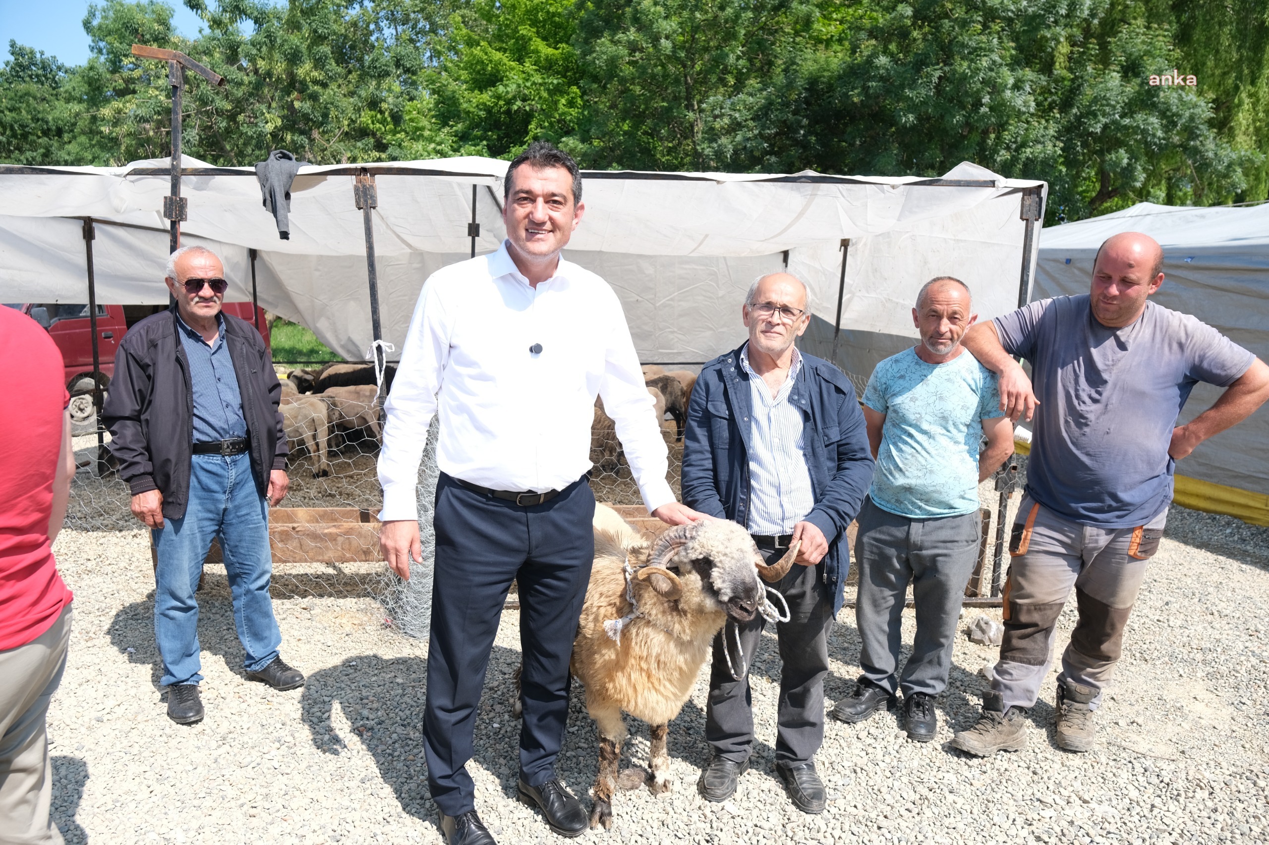 Giresun Belediye Başkanı Köse'den hayvan pazarına ziyaret