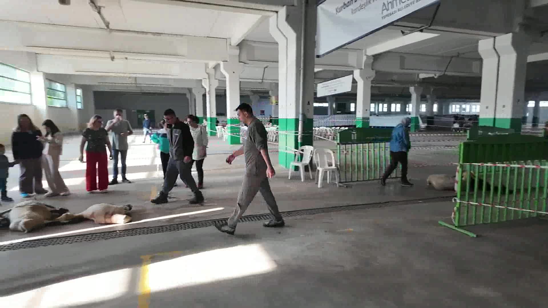 Tepebaşı Belediyesi, kurbanlıkları ihtiyaç sahiplerine ulaştırdı