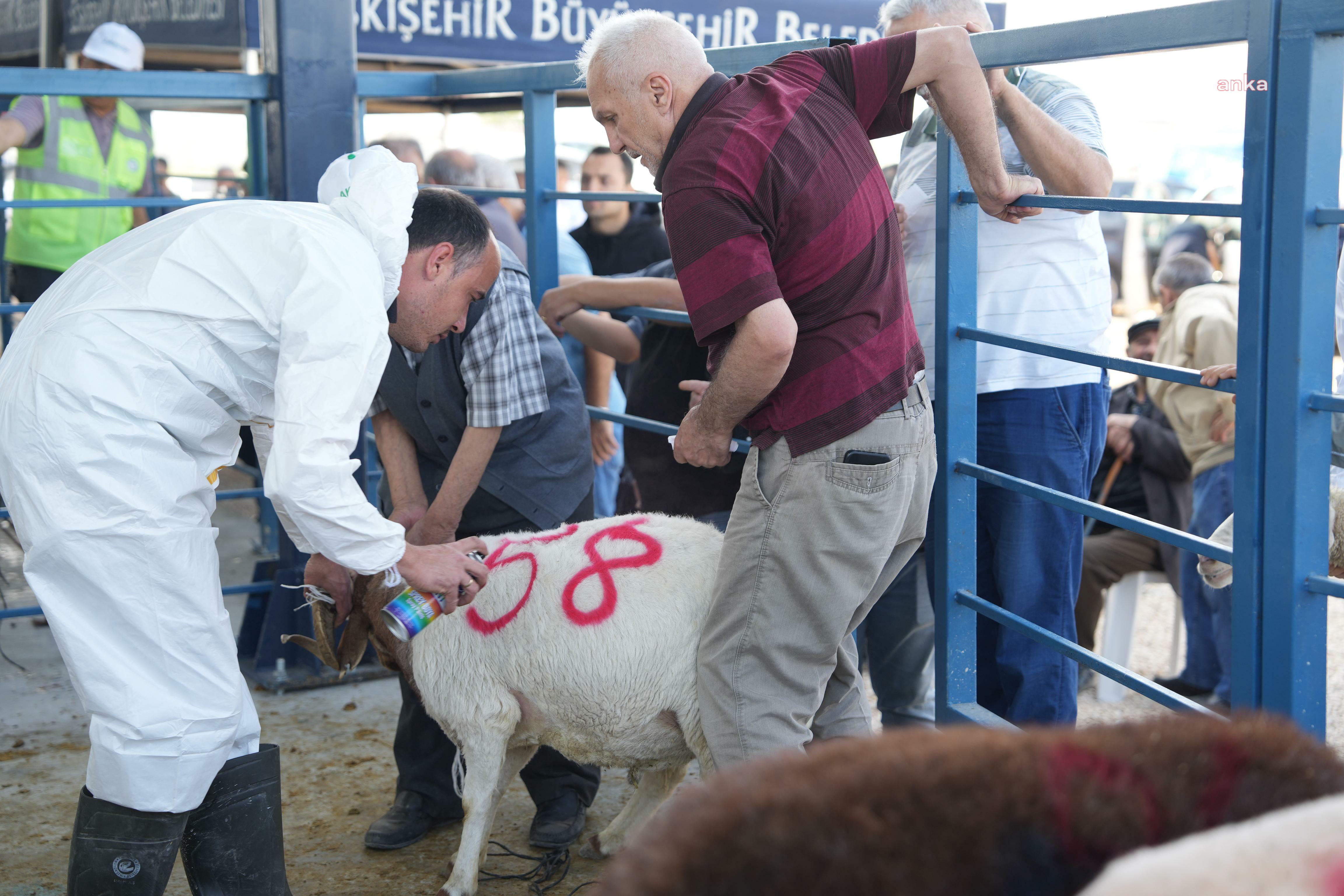 Eskişehir Büyükşehir Belediyesi Hayvan Pazarı'nda ilk kez kesim hizmeti sunuldu