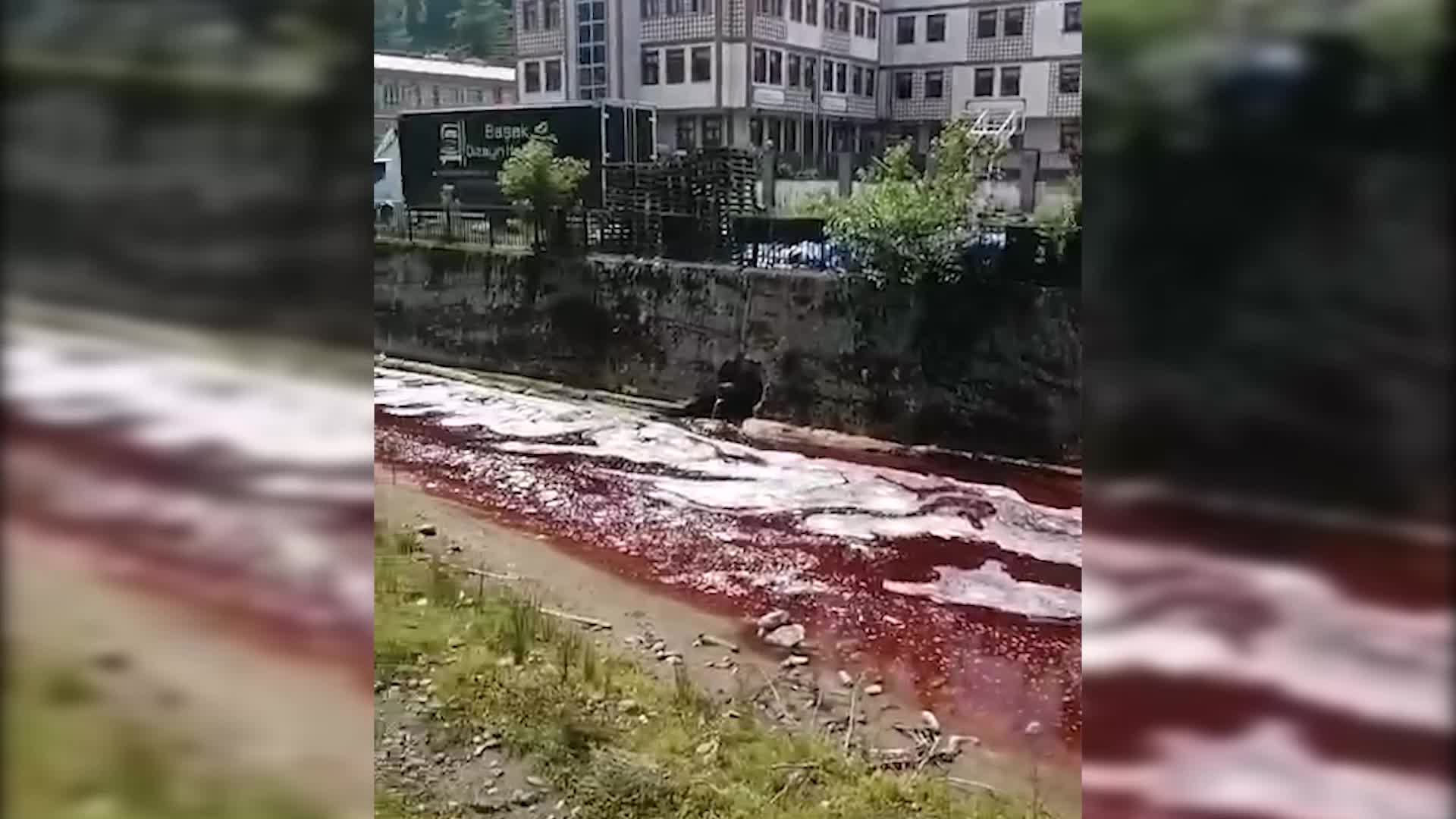 Rize'de kurban kanları dereyi ve denizi kırmızıya boyadı