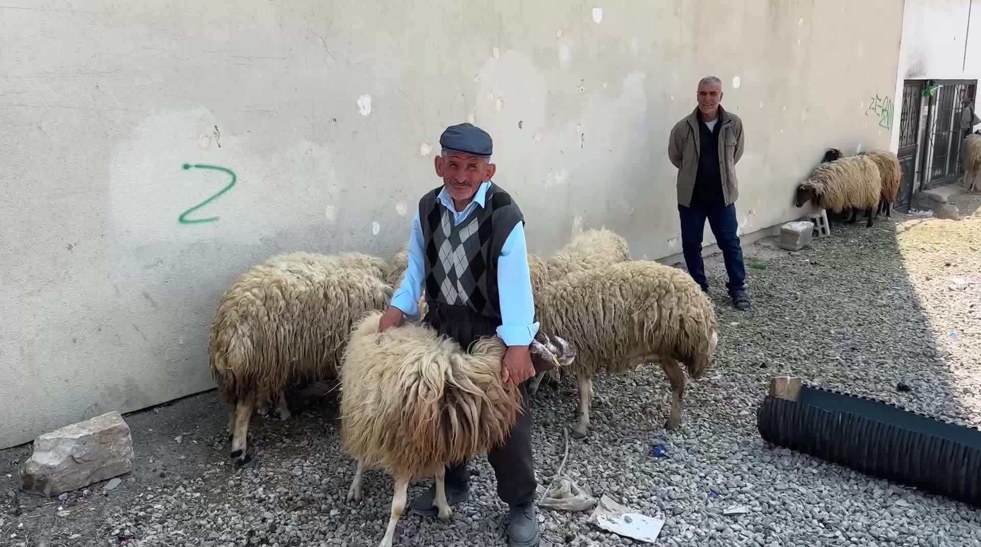 Van’da besiciler bayramda zarar etti: “Hayvancılık bitme noktasına geldi”