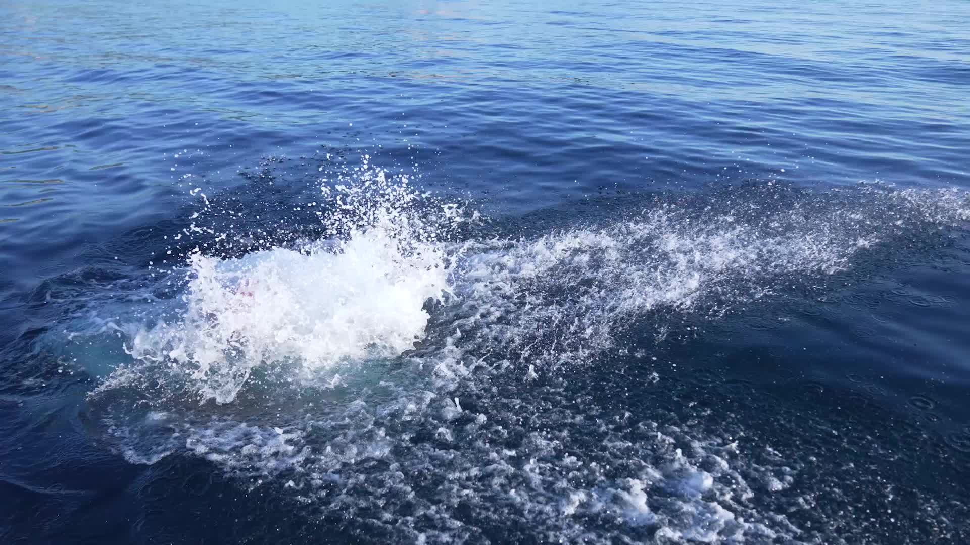 Otizmli ultra maraton yüzücüsü Tuna Tunca, Manş Denizi’ni geçecek