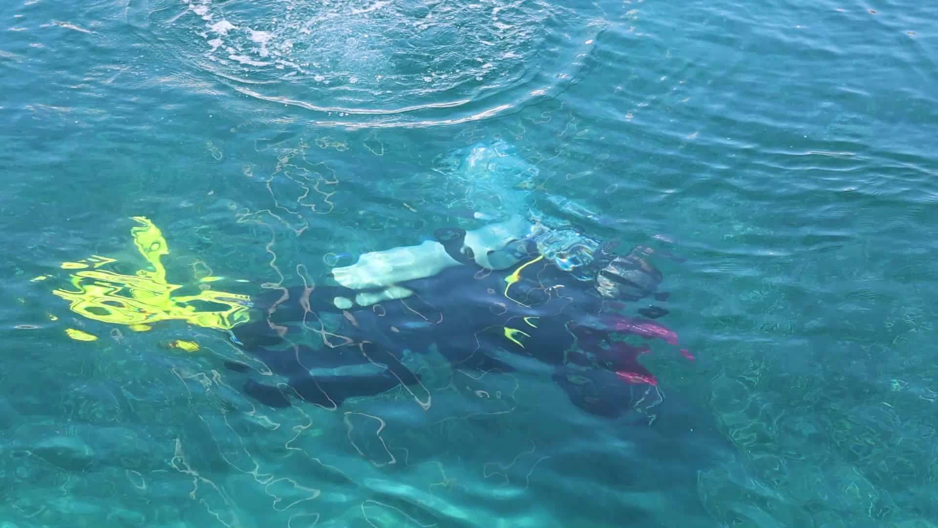 Bodrum Akyarlar’da deniz dibi temizliği yapıldı