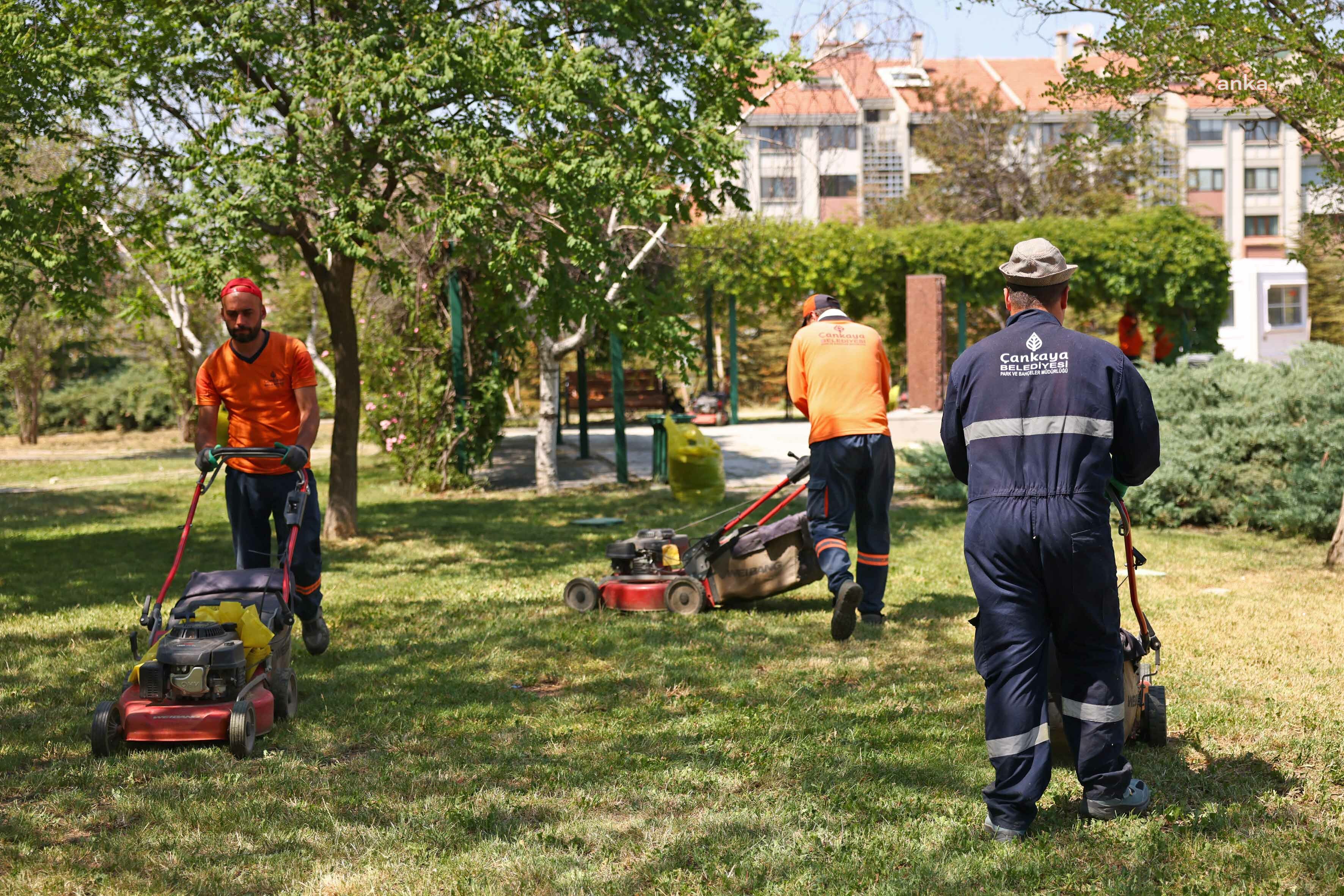 Çankaya Belediyesi'nden parklarda yoğun mesai