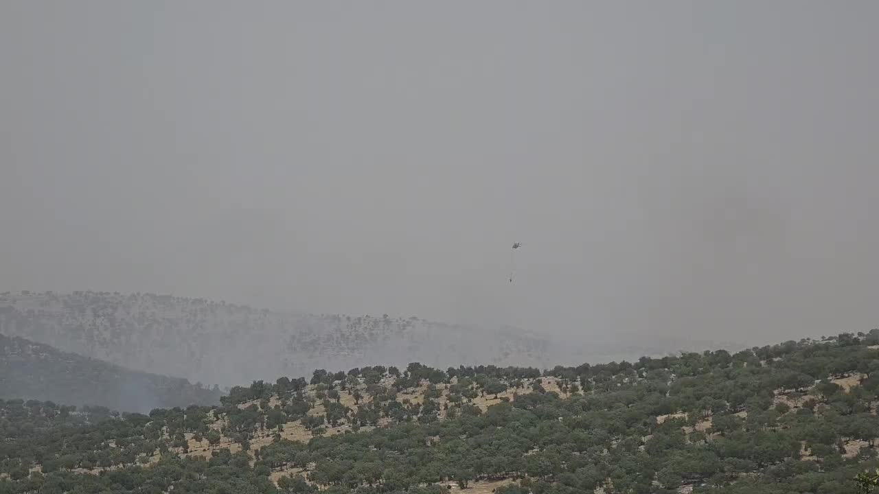 Mardin’de orman yangınına havadan ve karadan müdahale sürüyor