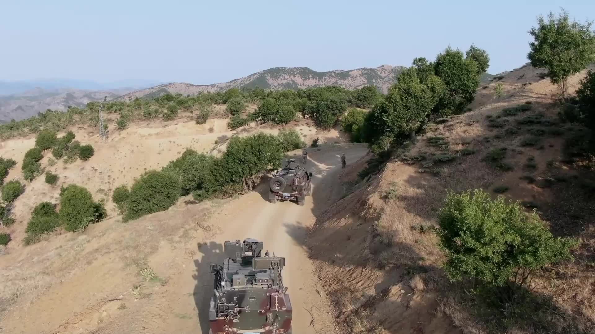 Diyarbakır’daki "Narkokit-5 Operasyonu"nda 12 milyon 389 bin kök keneviri ele geçirildi