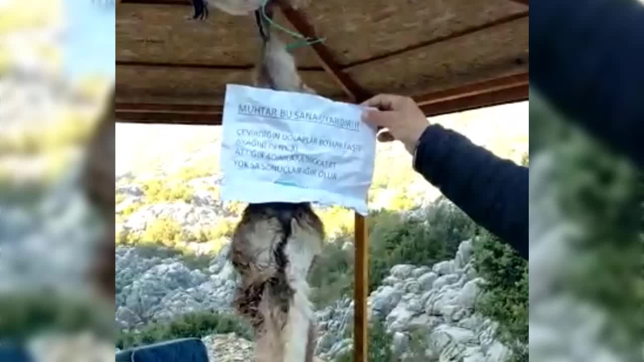 KAÇAK AVCILARDAN MUHTARA  TEHDİT