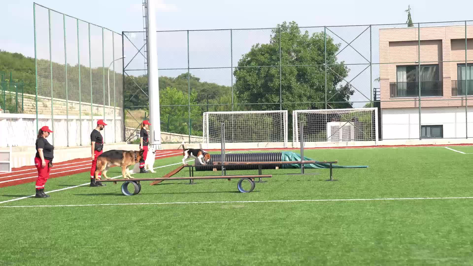 Dünya Arama Kurtarma Köpekleri Şampiyonası Çekmeköy’de yapıldı… Belediye Başkanı Çerkez: "Güvenli bir yarın hazırlıklı bir bugünden geçer"