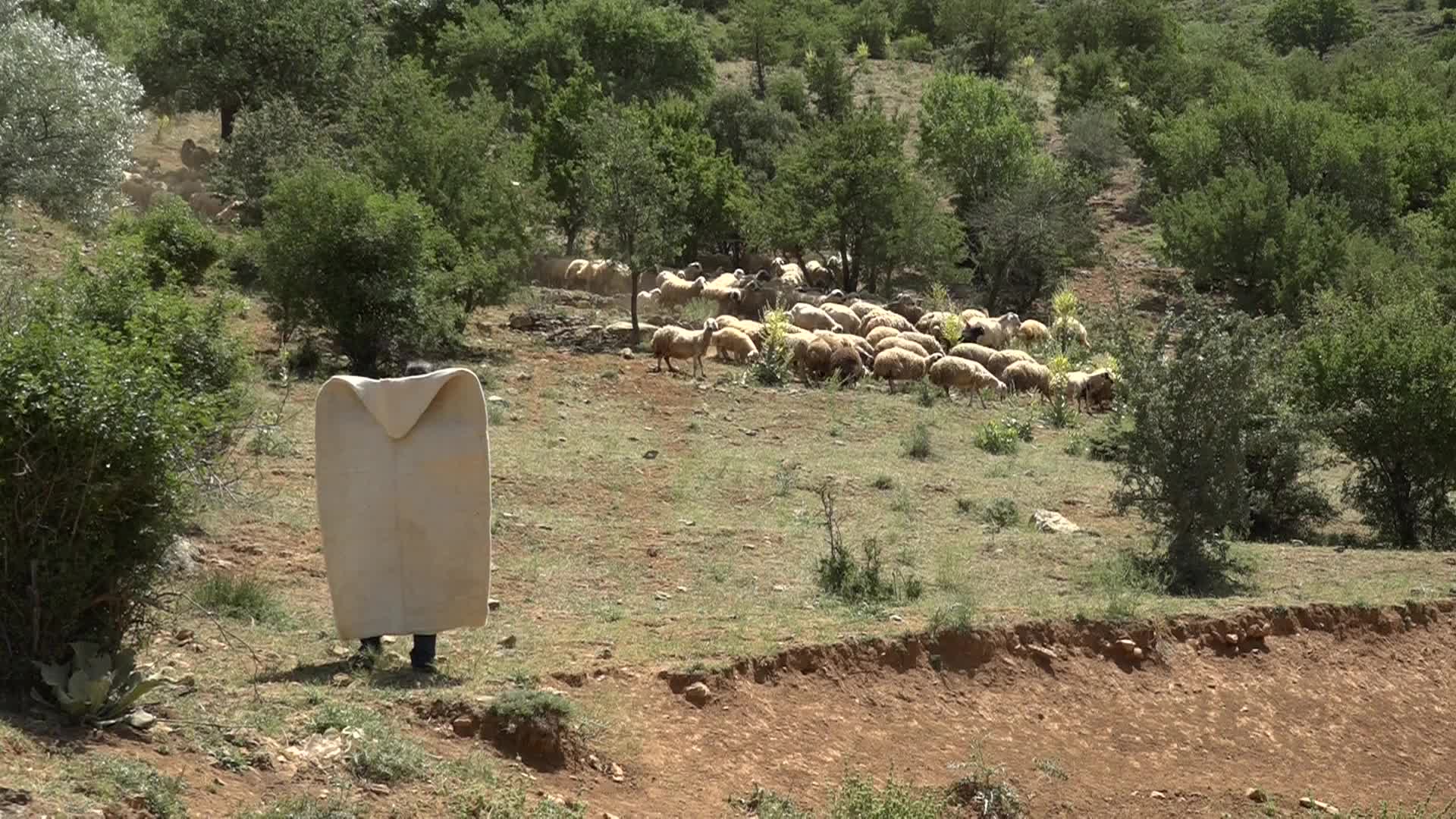 Malatya’nın Yeşilyurt ilçesine bağlı Babacan Mahallesi’nde besiciler zor şartlardan yakınıyor... İrfan Babacan: "Yol yok, su yok, elektrik yok"
