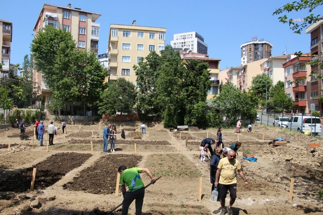 İBB'nin Halk Bostanları'nda en çok tercih edilen ürünler domates, biber ve kıvırcık marul oldu