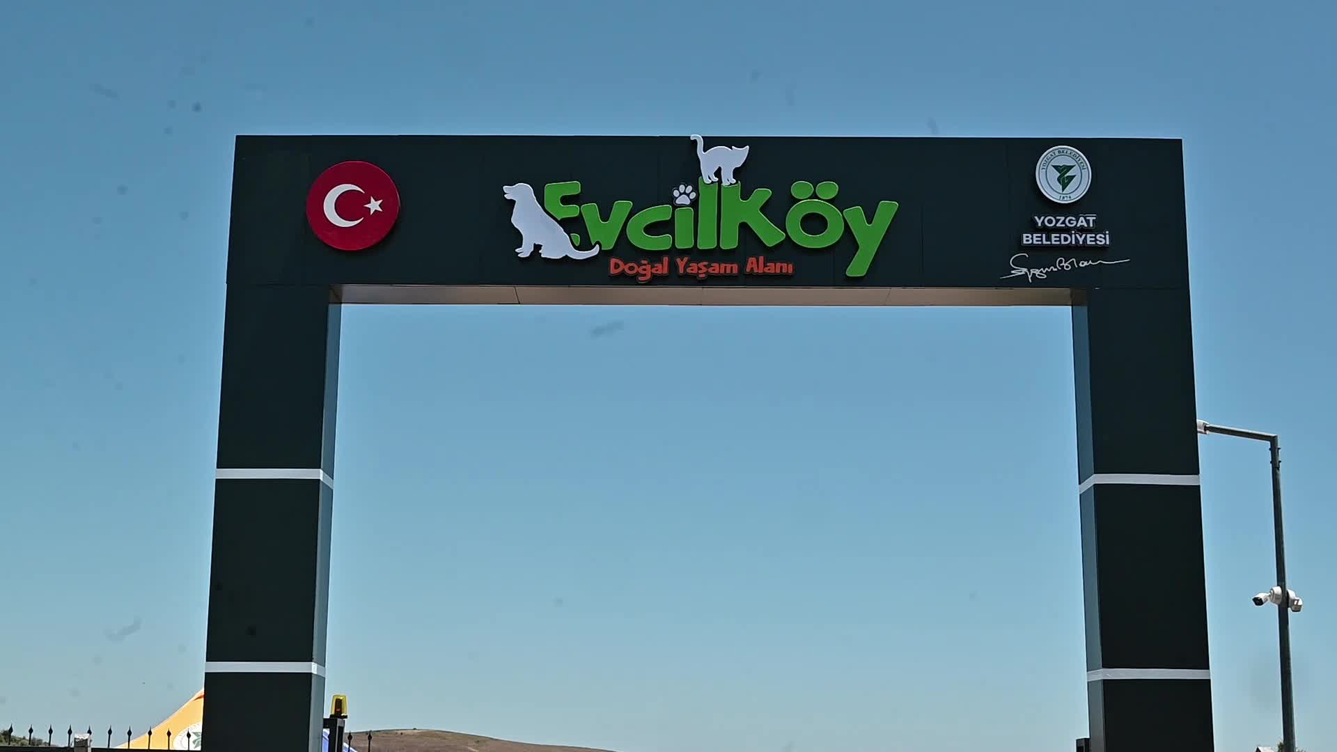 Yozgat’ta minikler, Evcil Köy'de fidan dikti, hayvanları sevdi, piknik yaptı