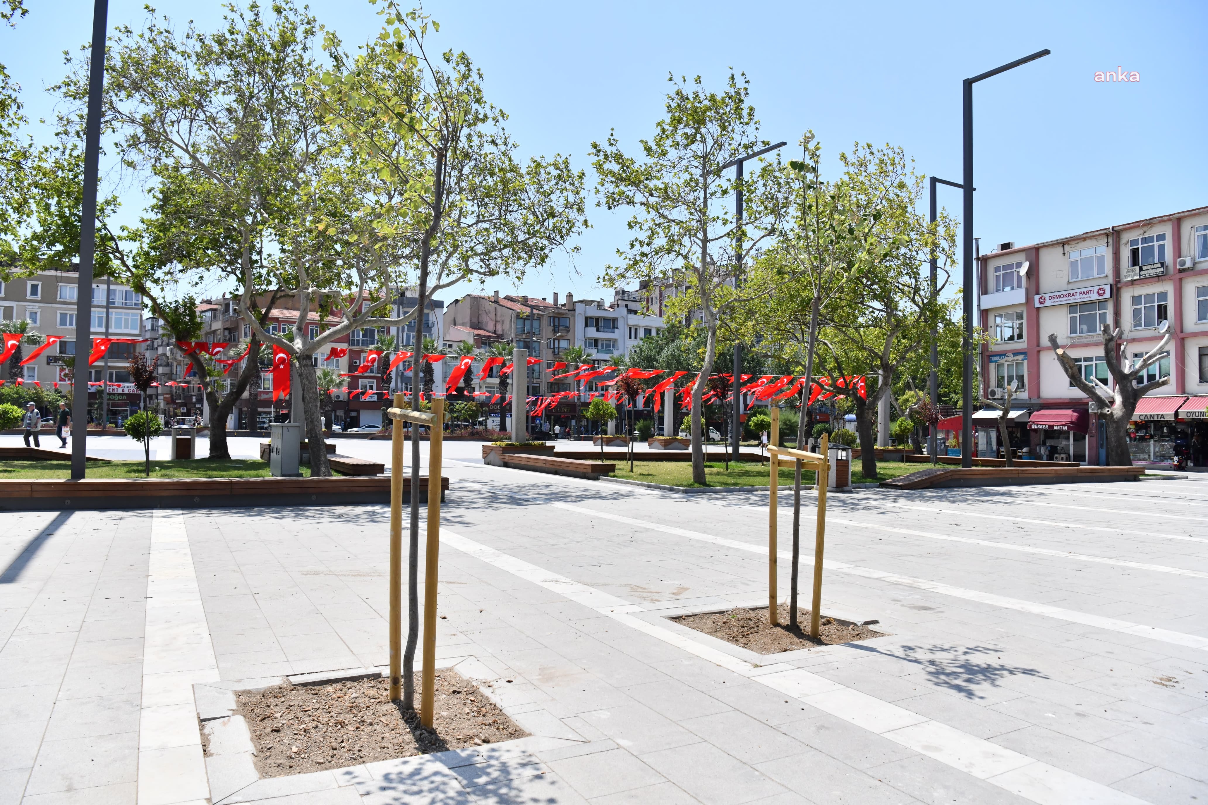 Çanakkale'de devrilme riski taşıyan ağaçların yerine yenileri dikiliyor