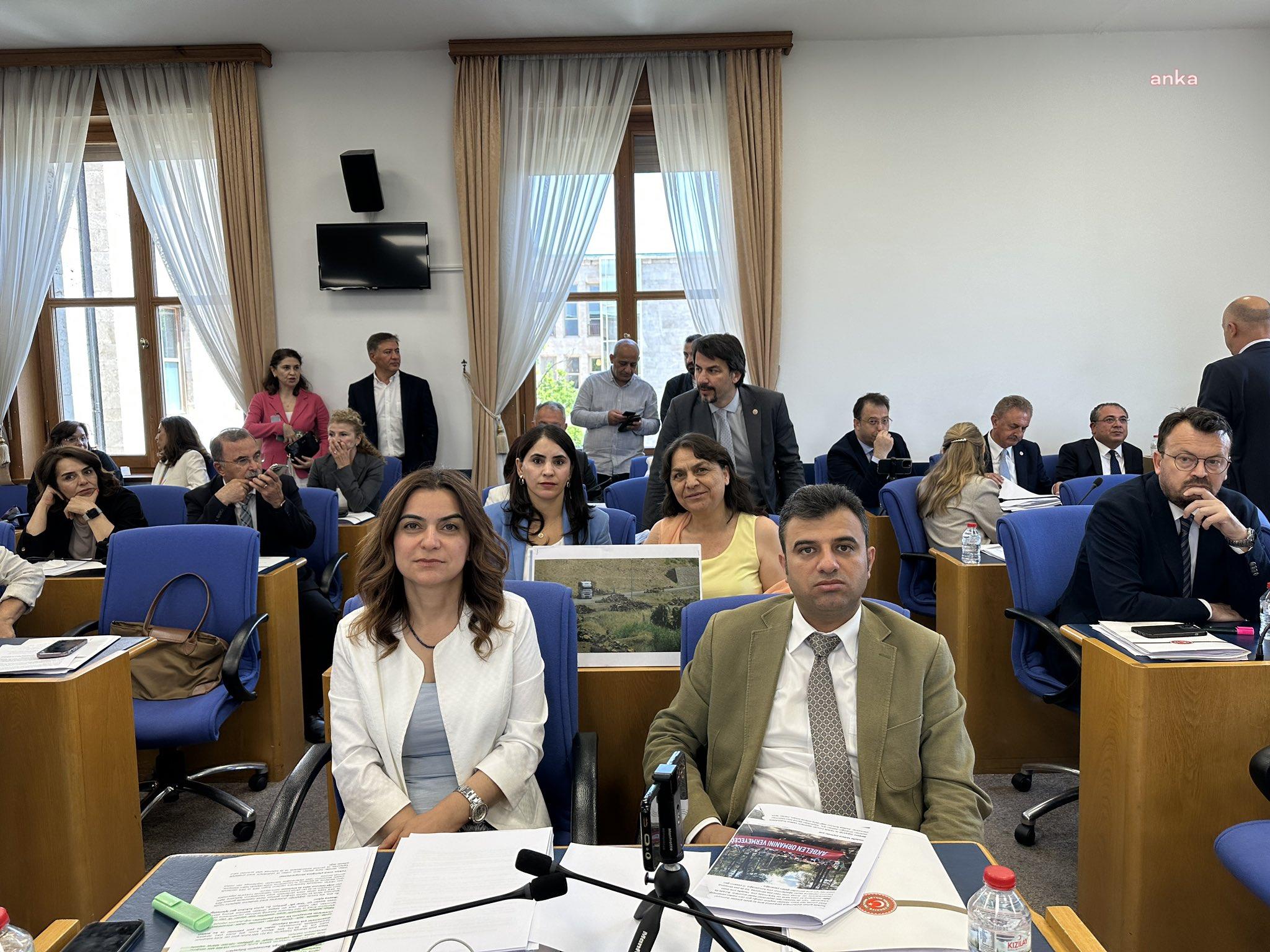 DEM Partili Koçyiğit'ten zeytinlikleri madencilik faaliyetine açacak teklife tepki: Bu yasayı getirenlerin doğa sevgisi yok, zeytin ağacına hiç dokunmamış